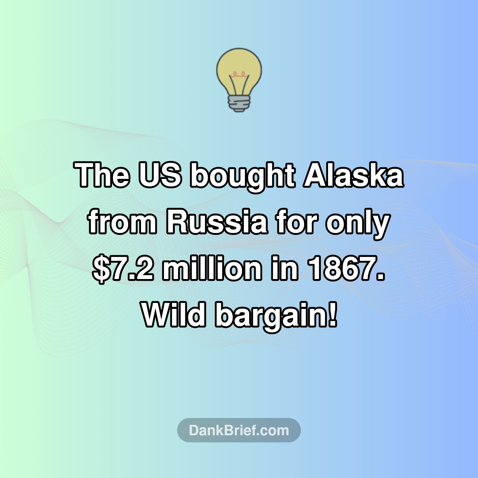 Mind-Blown by Alaska's Price Tag?!