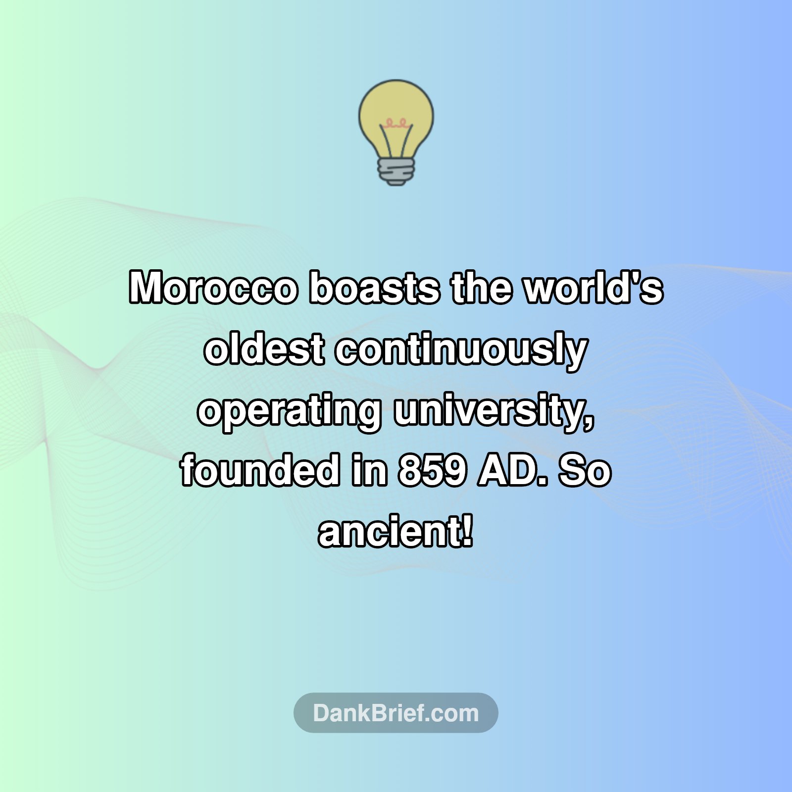 Mind-Blown Morocco Fact!