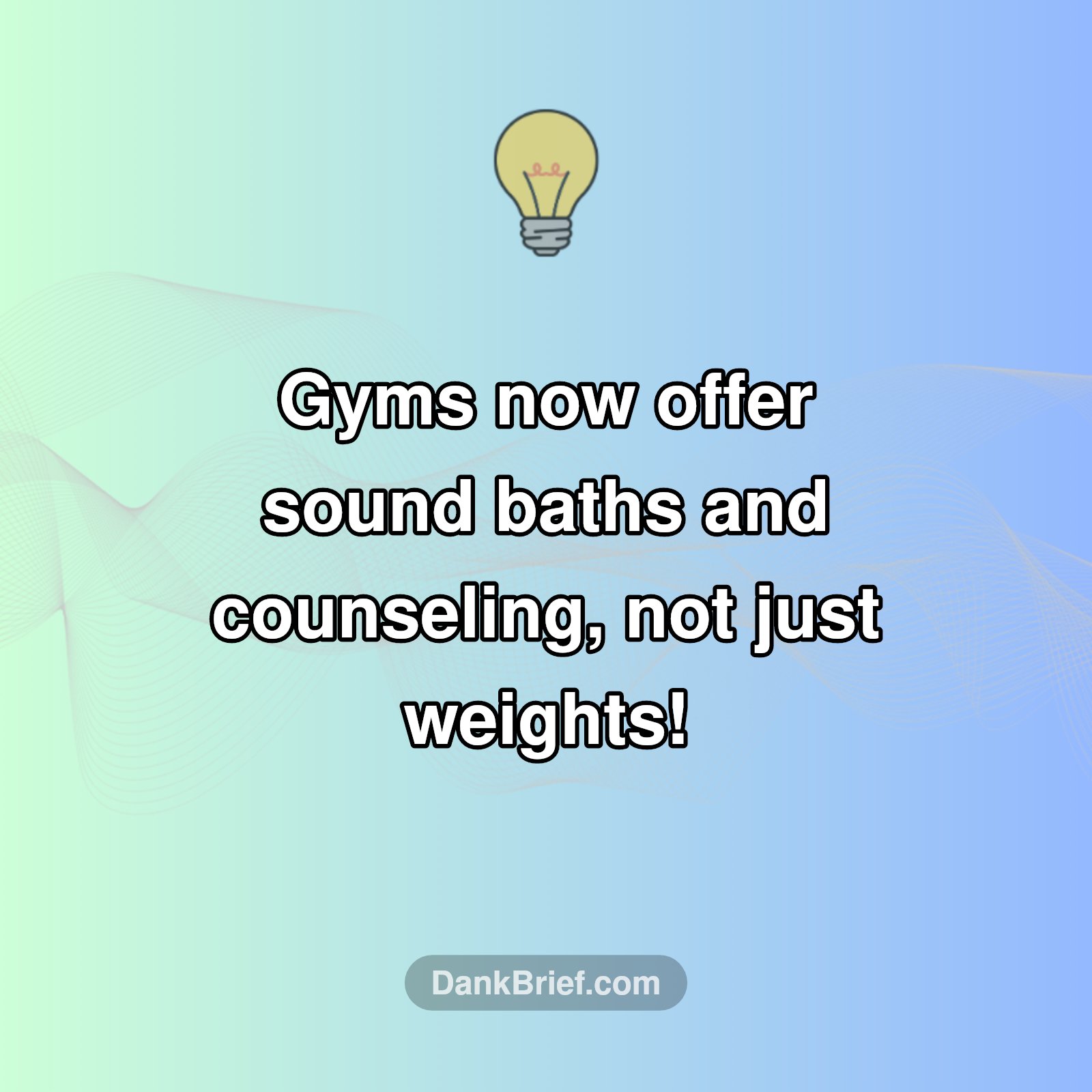 Beyond Benches: The Evolving Gym
