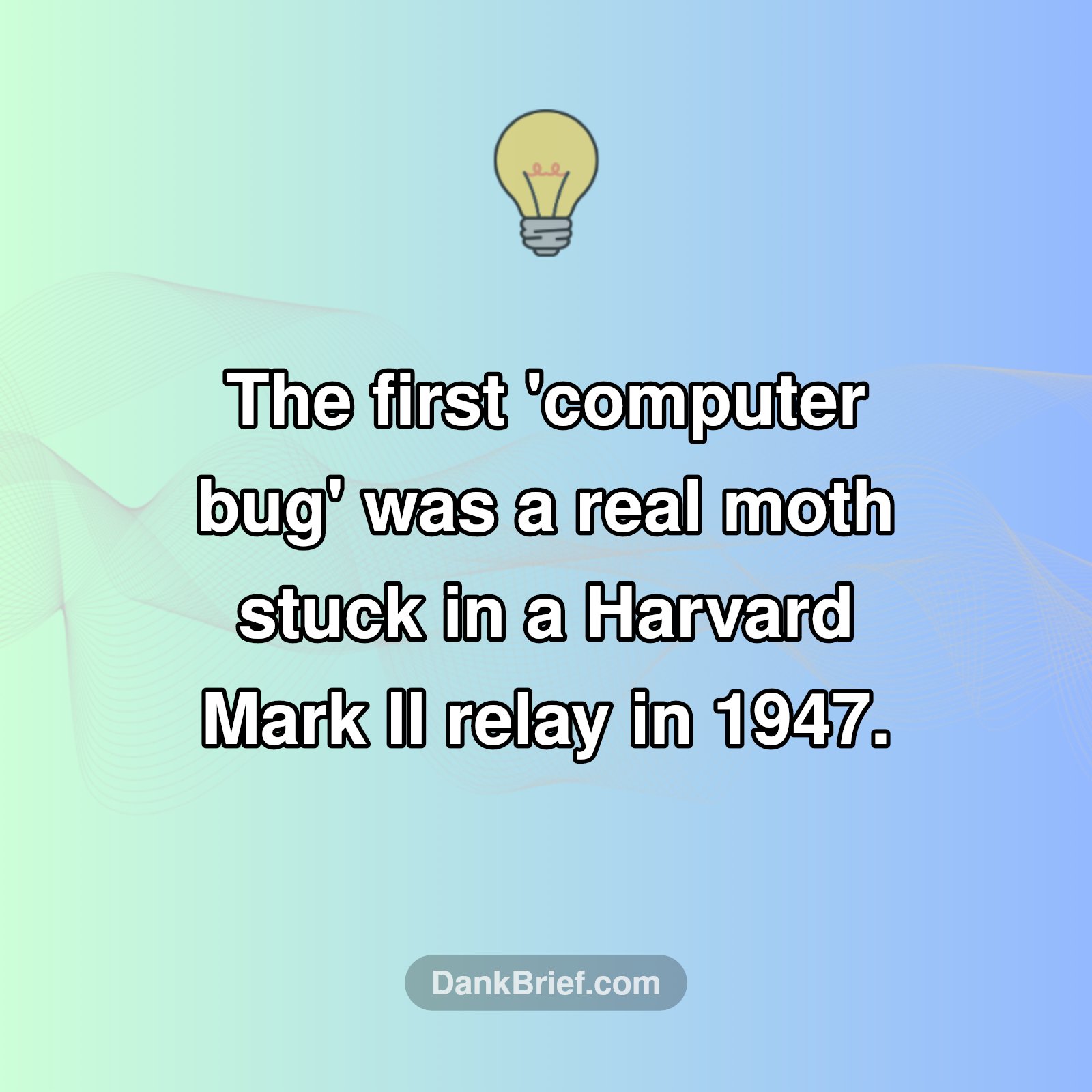 Literally a BUG in the System!