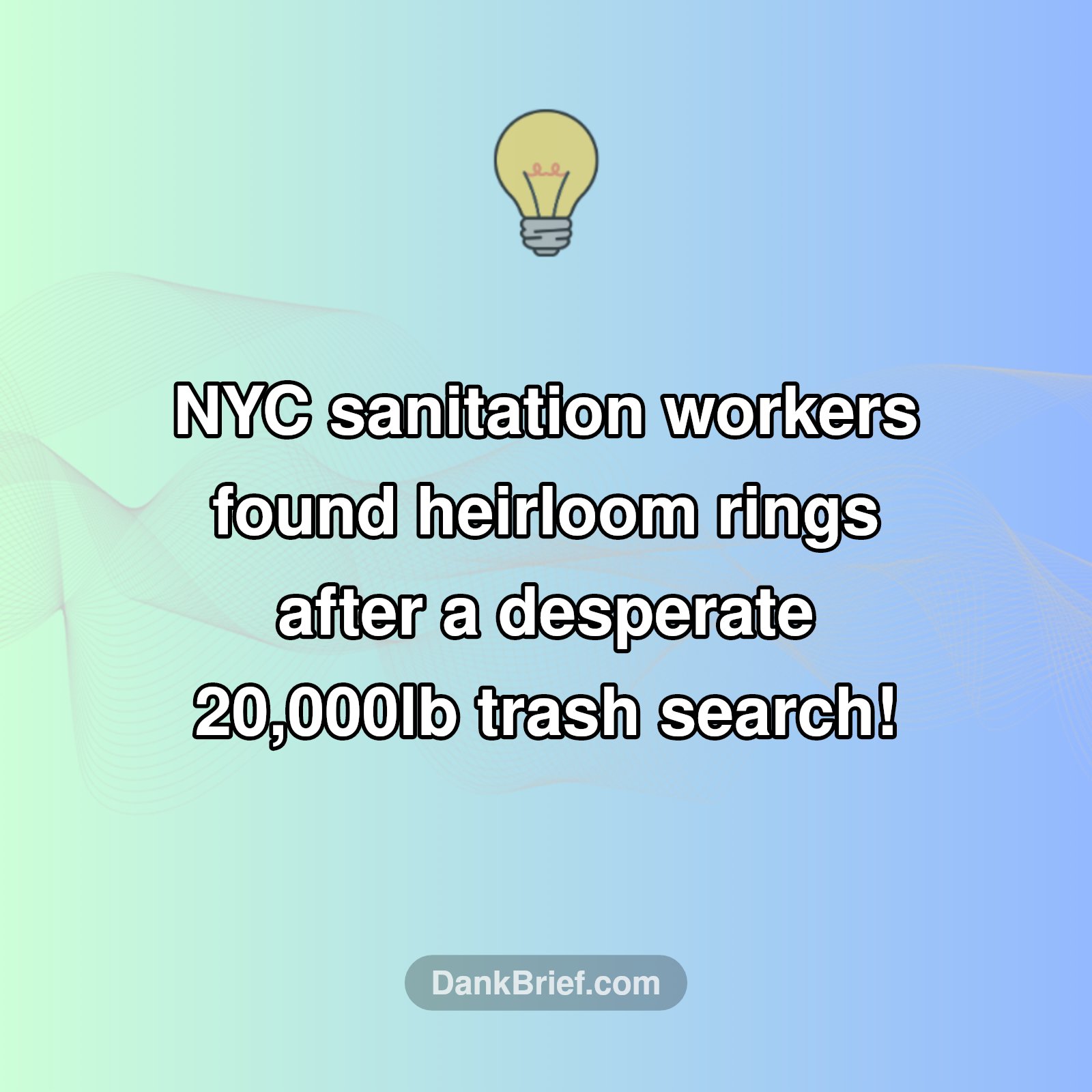 Unbelievable NYC Trash Rescue!