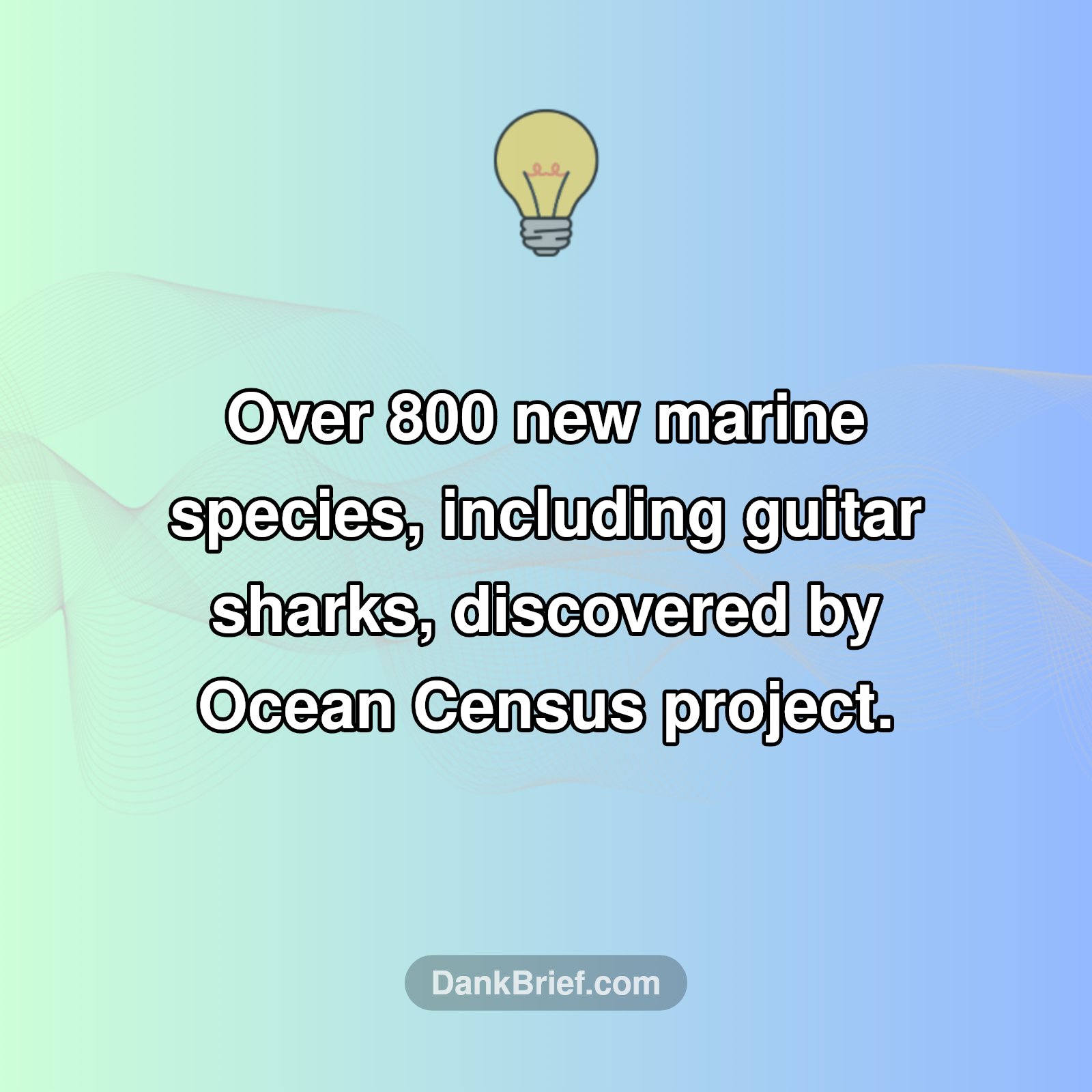 Deep-Sea Secrets Unveiled!