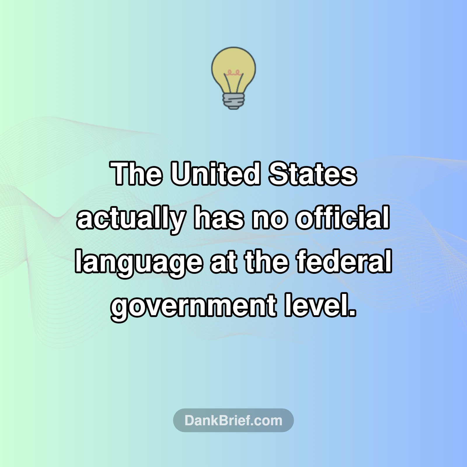 Mind Blown: US Language Myth!