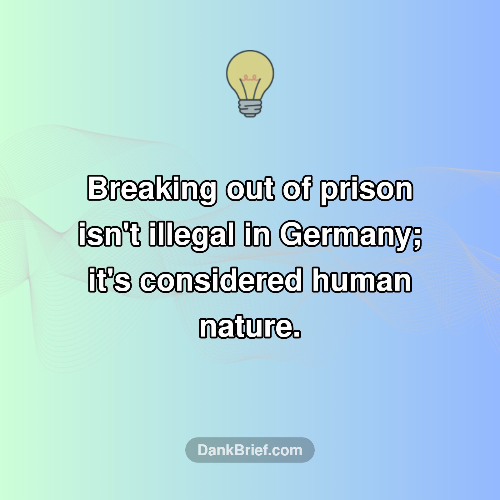 German Law Shocker!