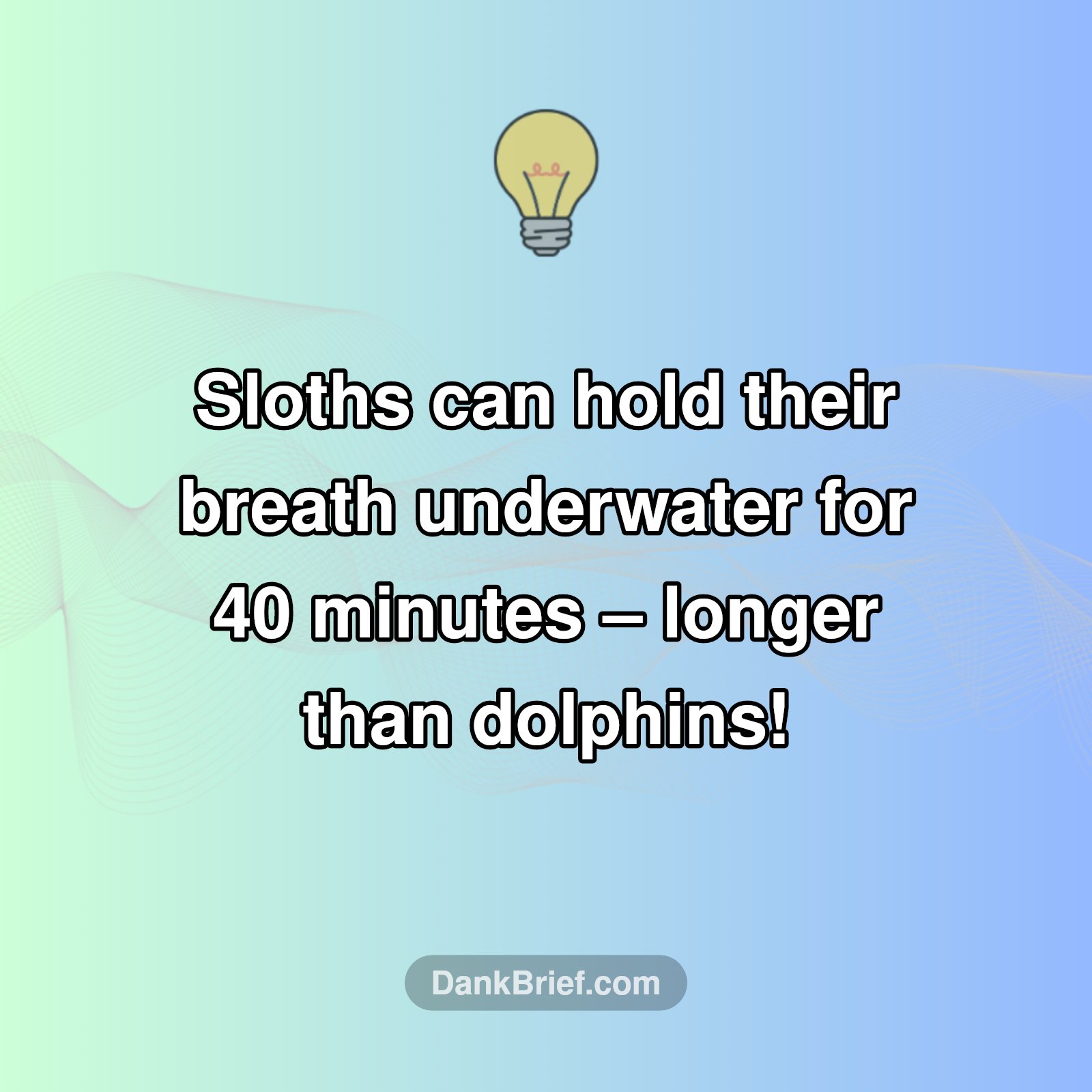 Wait, Sloths Do WHAT?!