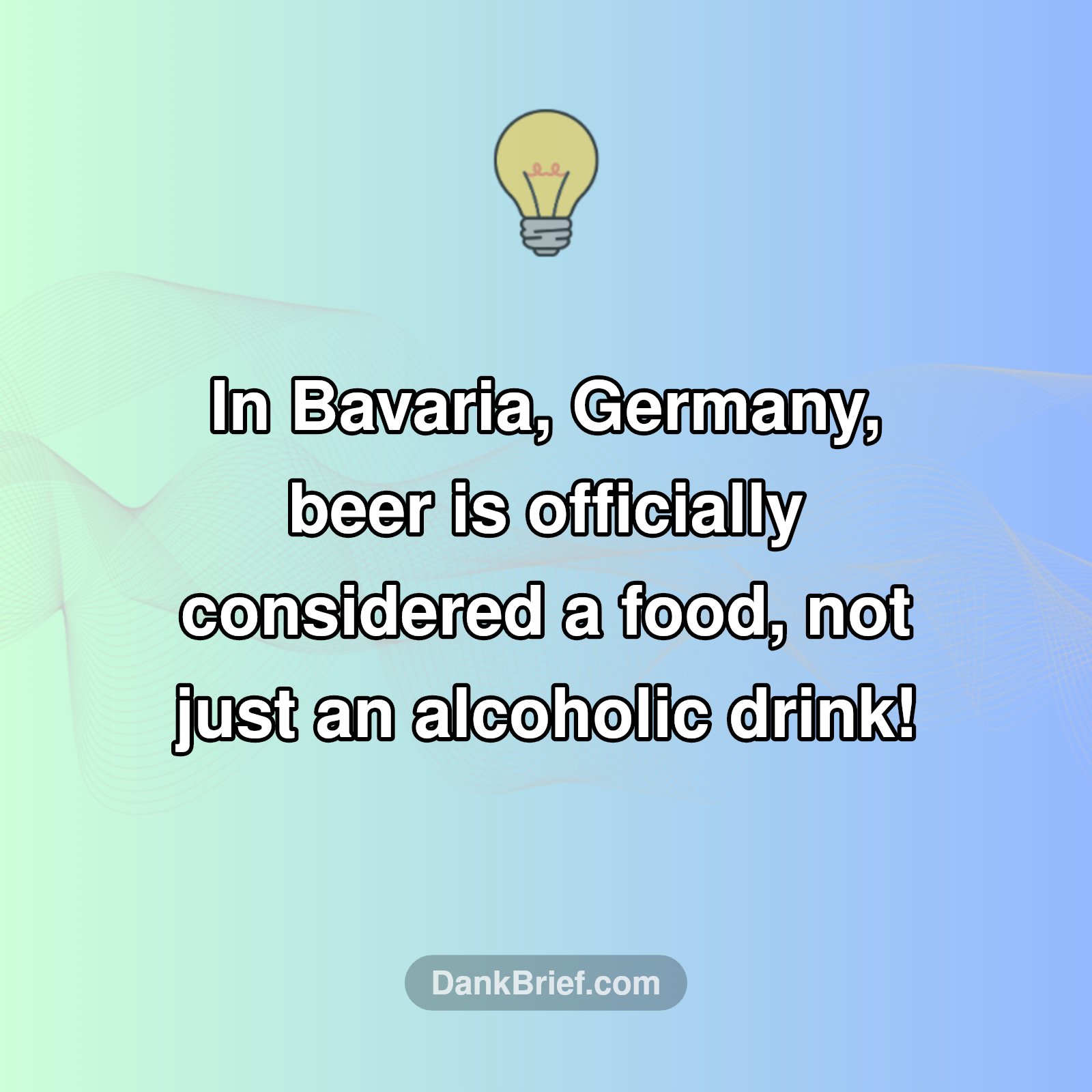 Beyond the Brew: Beer as Food in Bavaria!