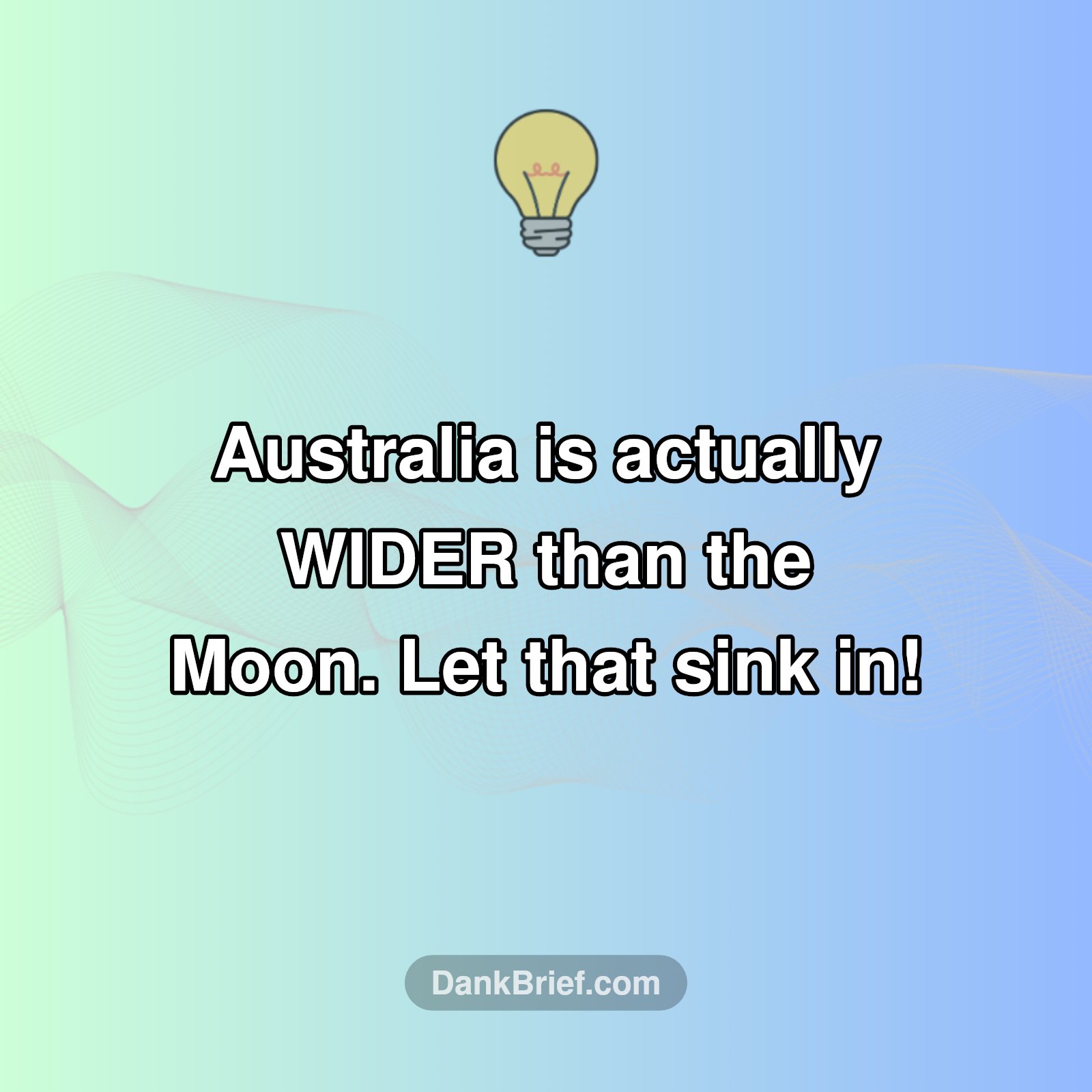 Wait, What?! Australia's Wild Secret!