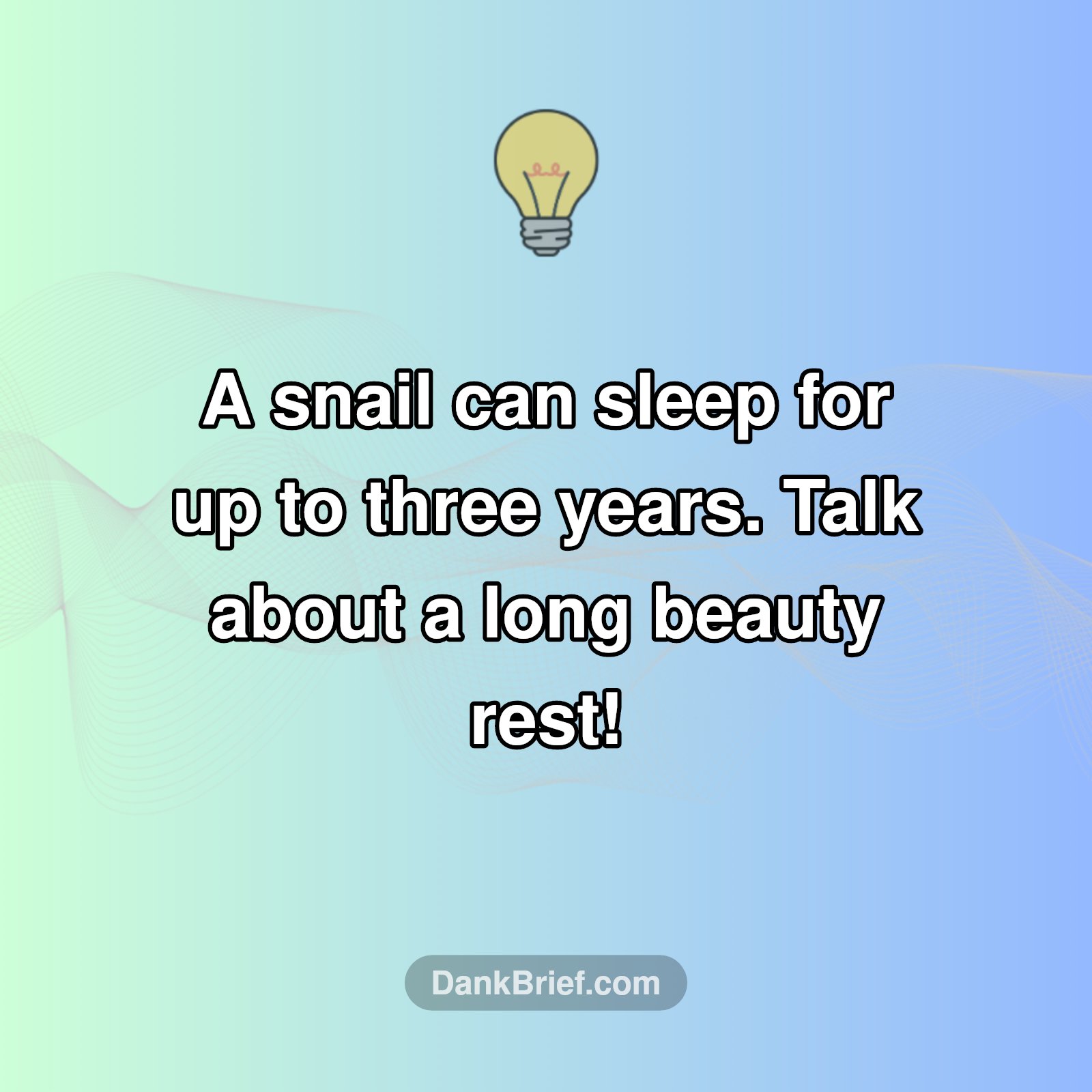 The Ultimate Napper