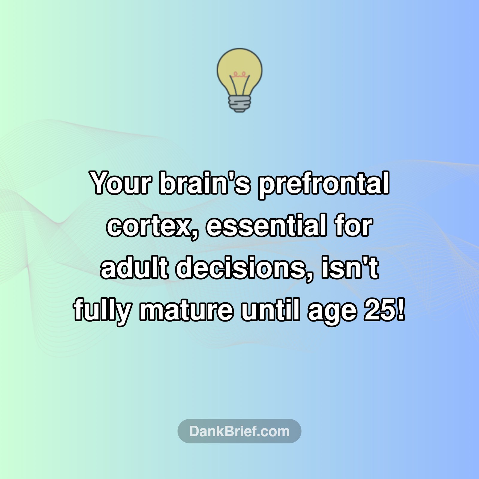 Your Brain Isn't Fully Adulting Yet!