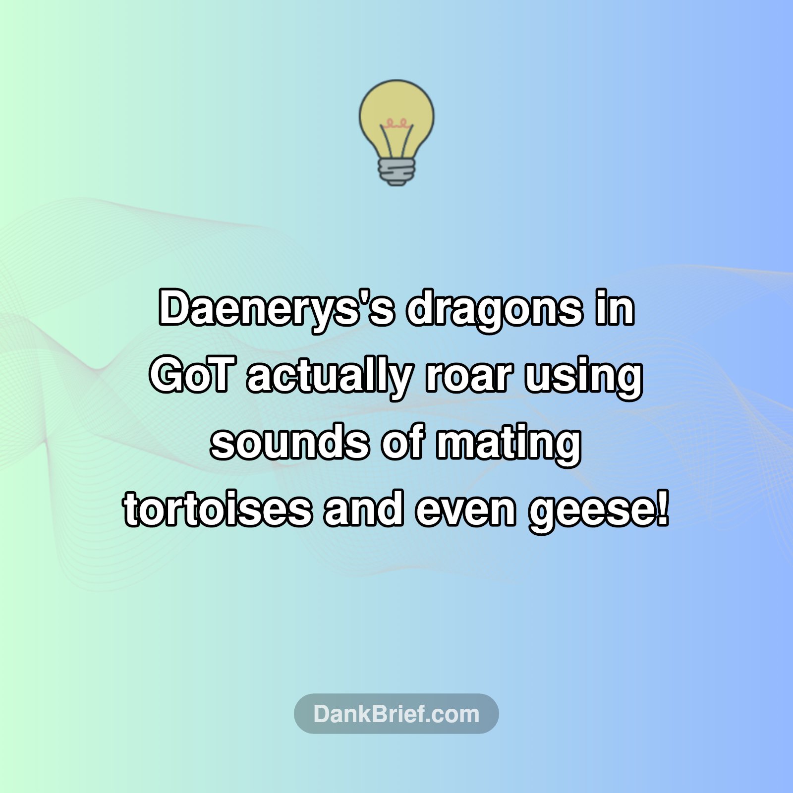 🐉 Dragons Got Their Roar From... Tortoises?!
