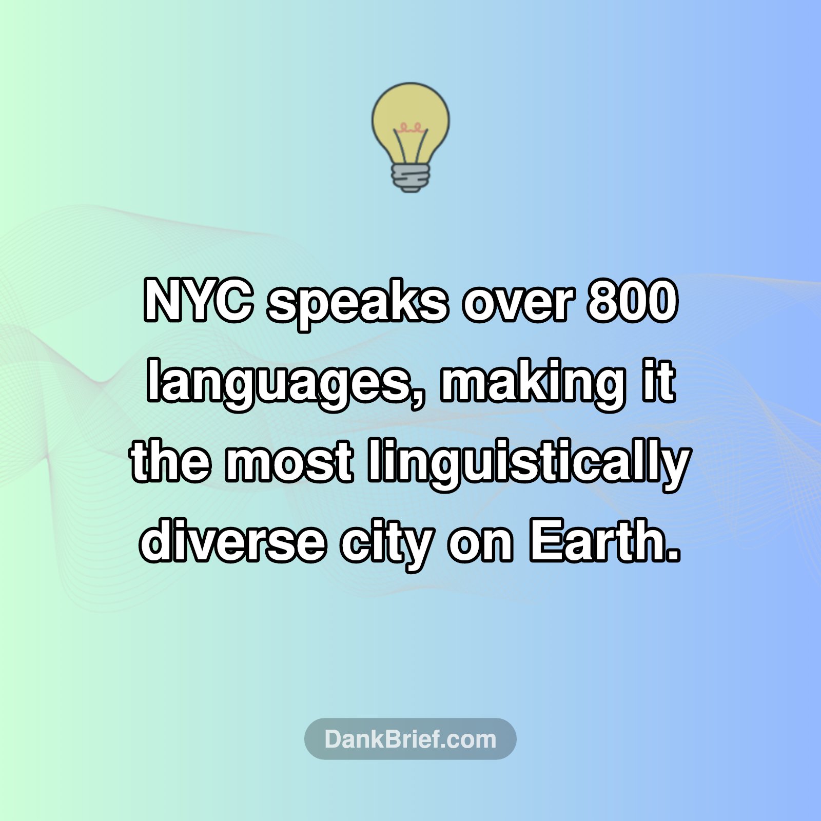 NYC's Wild Language Secret