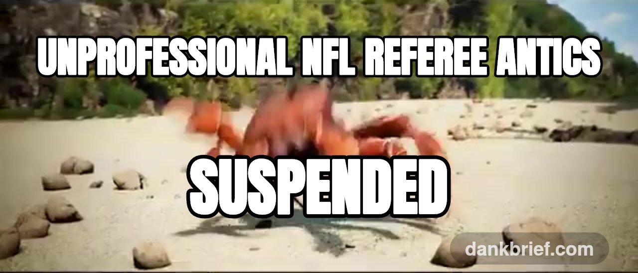 Unprofessional NFL referee antics / SUSPENDED