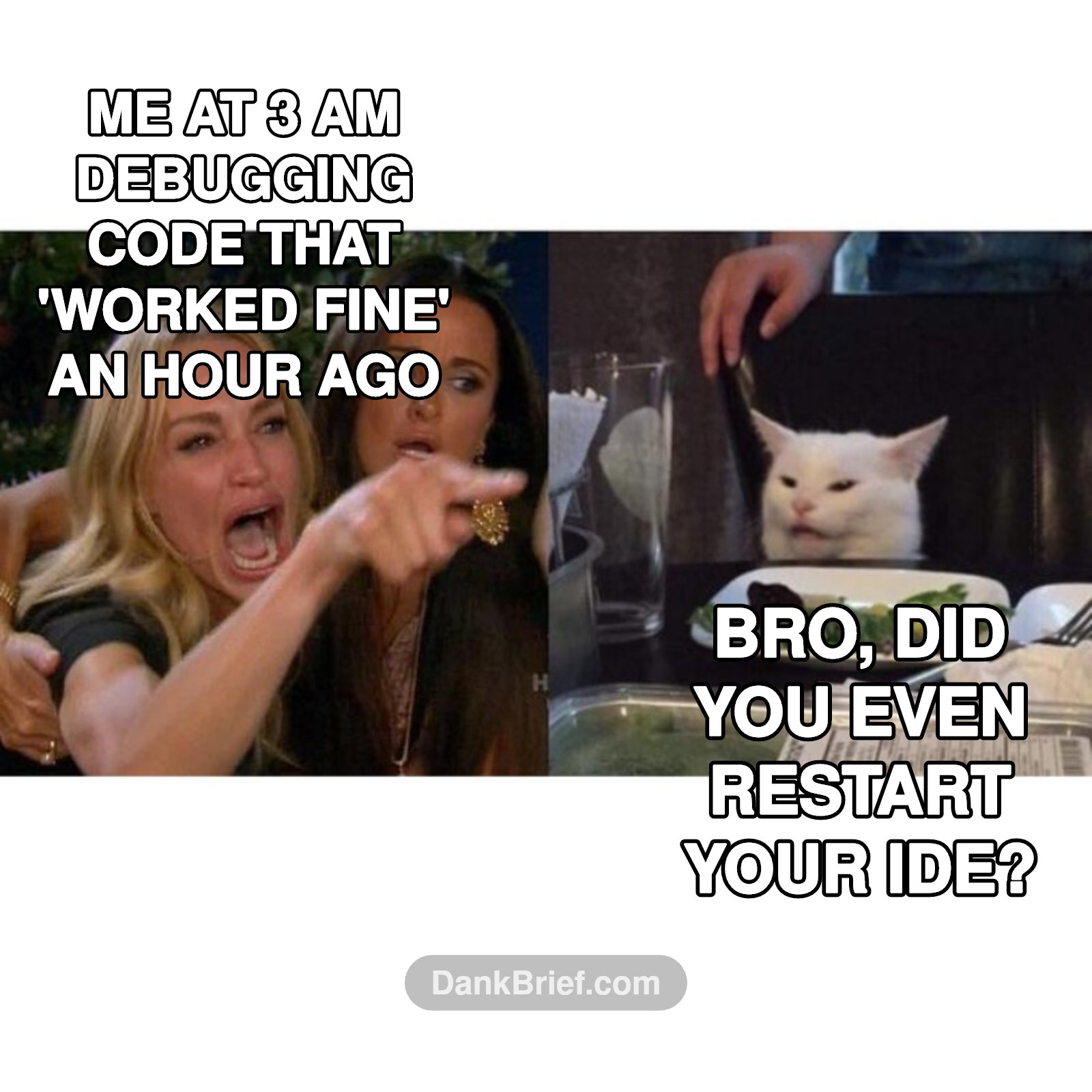My brain when the debugger starts