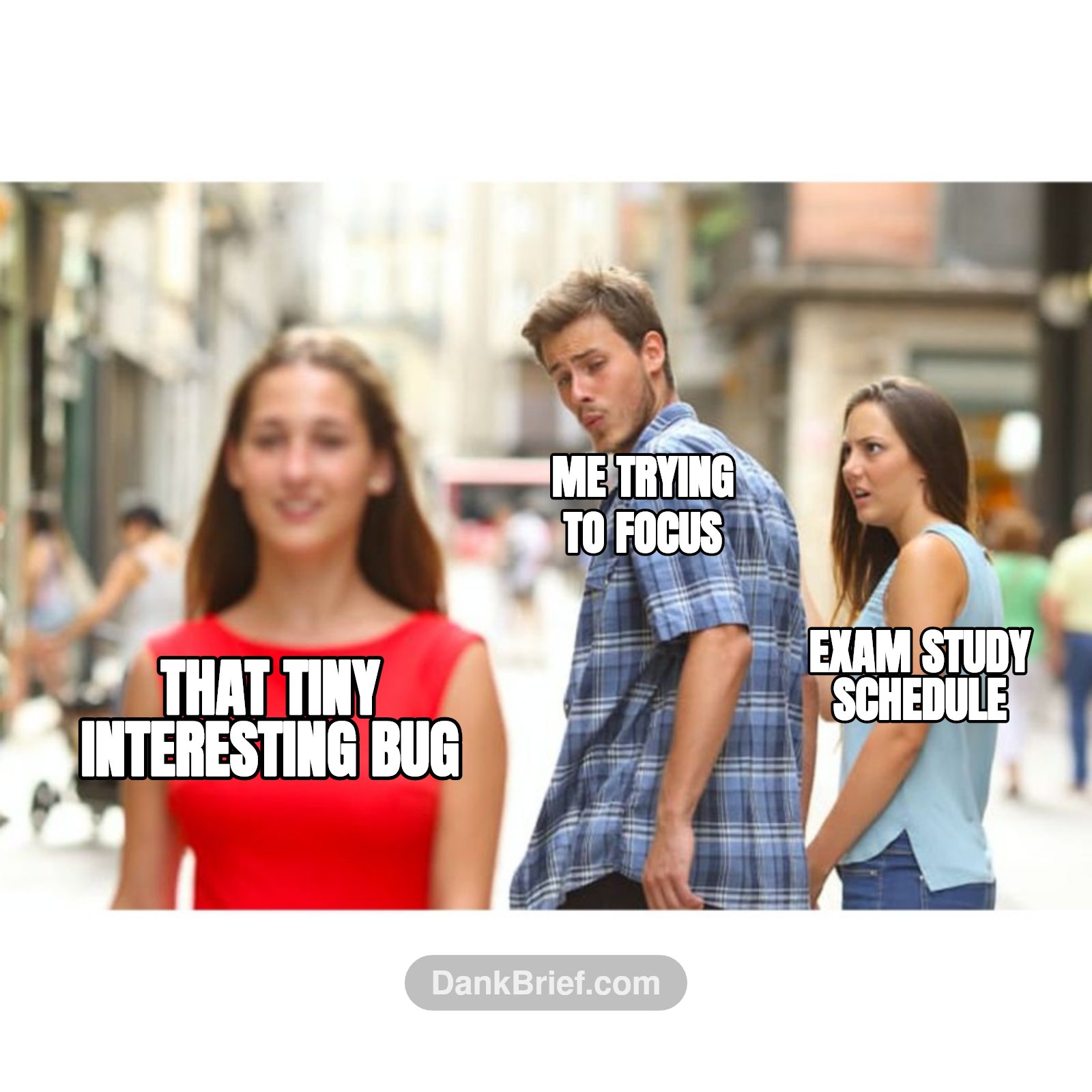 Exam study schedule / Me trying to focus / That tiny interesting bug