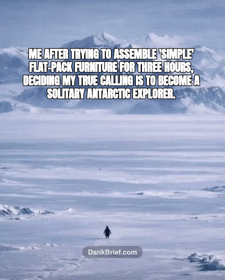 Me after trying to assemble 'simple' flat-pack furniture for three hours, deciding my true calling is to become a solitary Antarctic explorer.