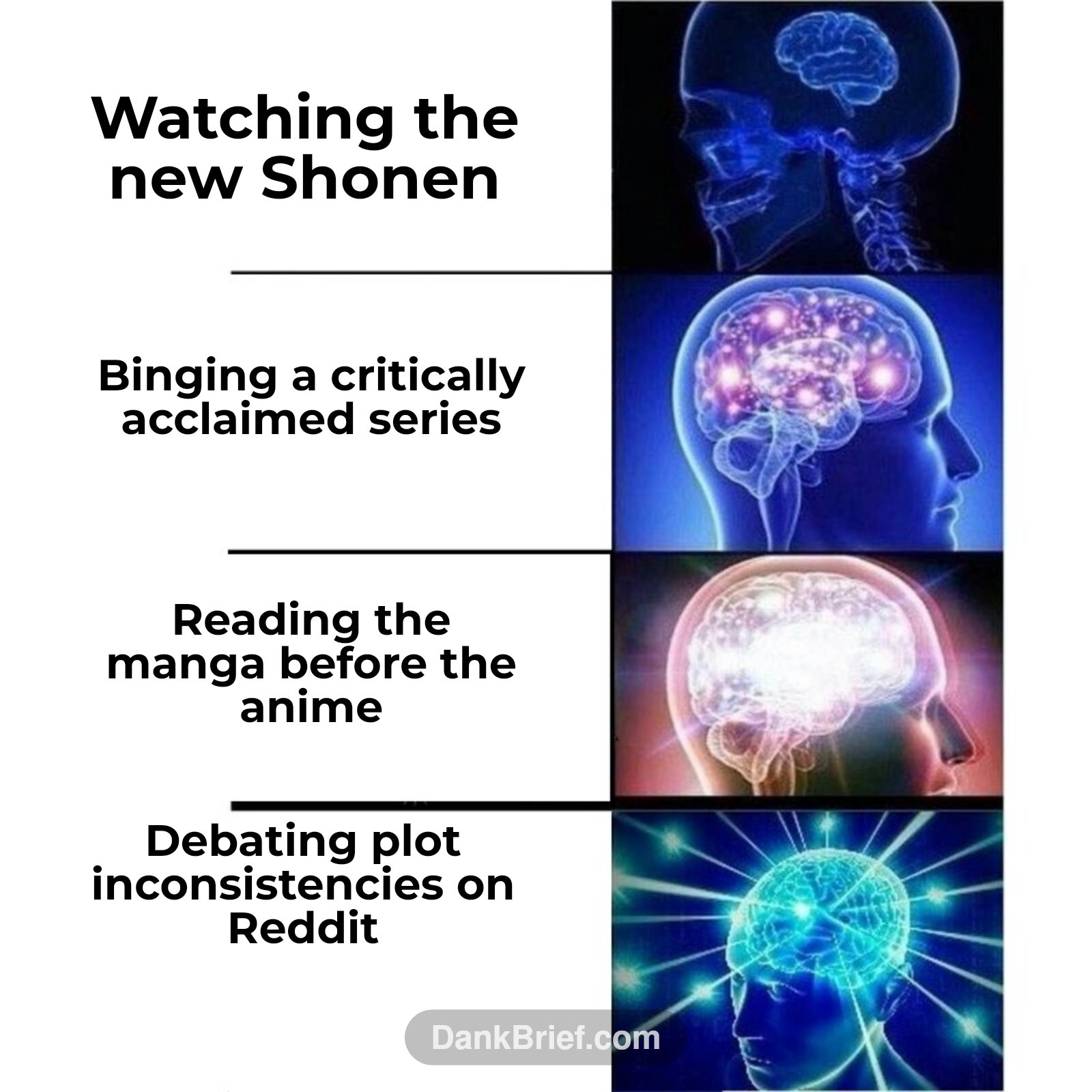 Watching the new Shonen / Binging a critically acclaimed series / Reading the manga before the anime / Debating plot inconsistencies on Reddit