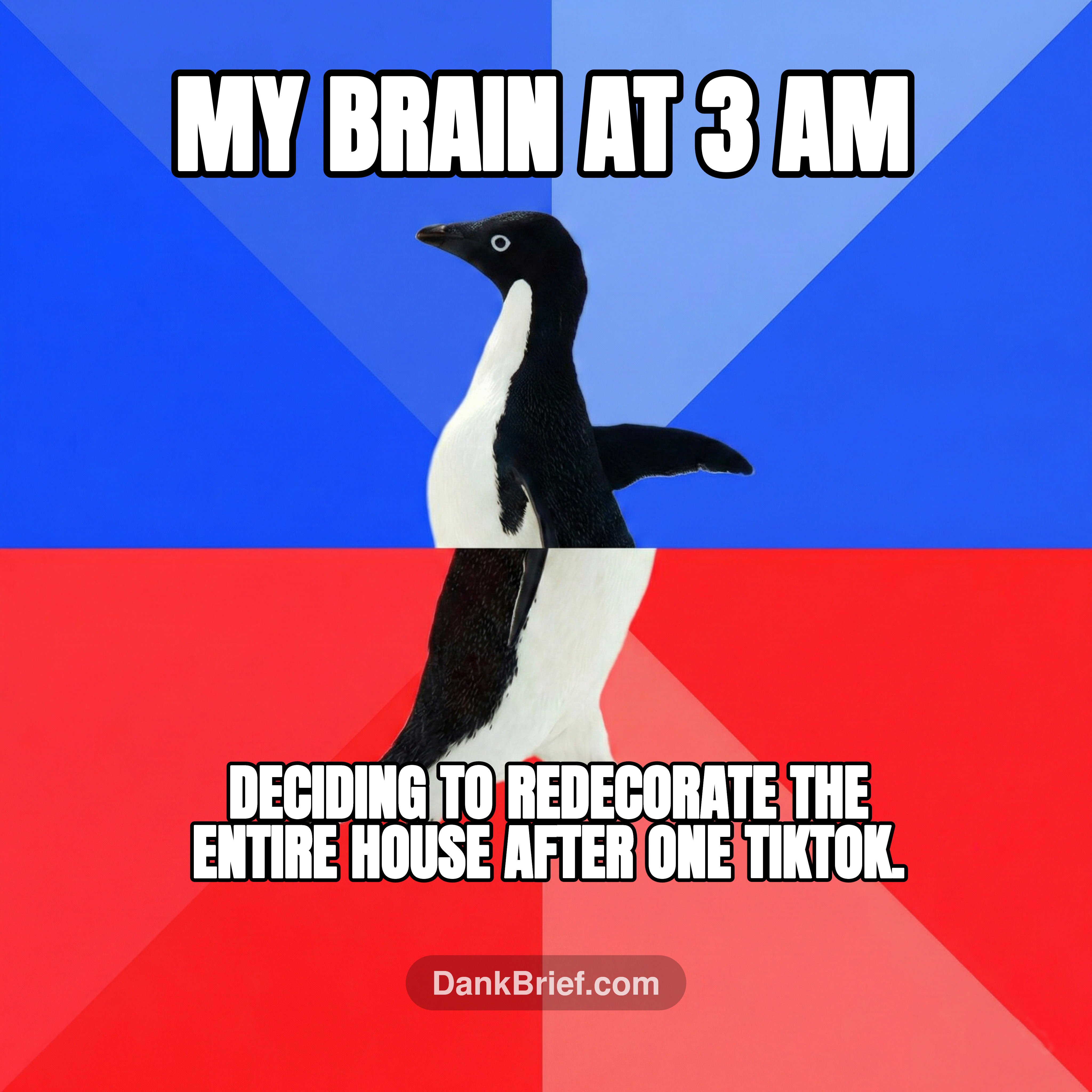My brain at 3 AM / Deciding to redecorate the entire house after one TikTok.