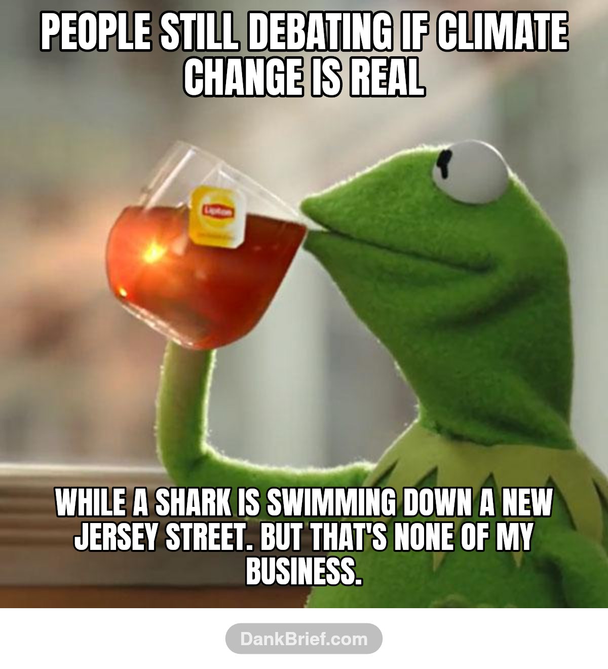 People still debating if climate change is real / While a shark is swimming down a New Jersey street. But that's none of my business.