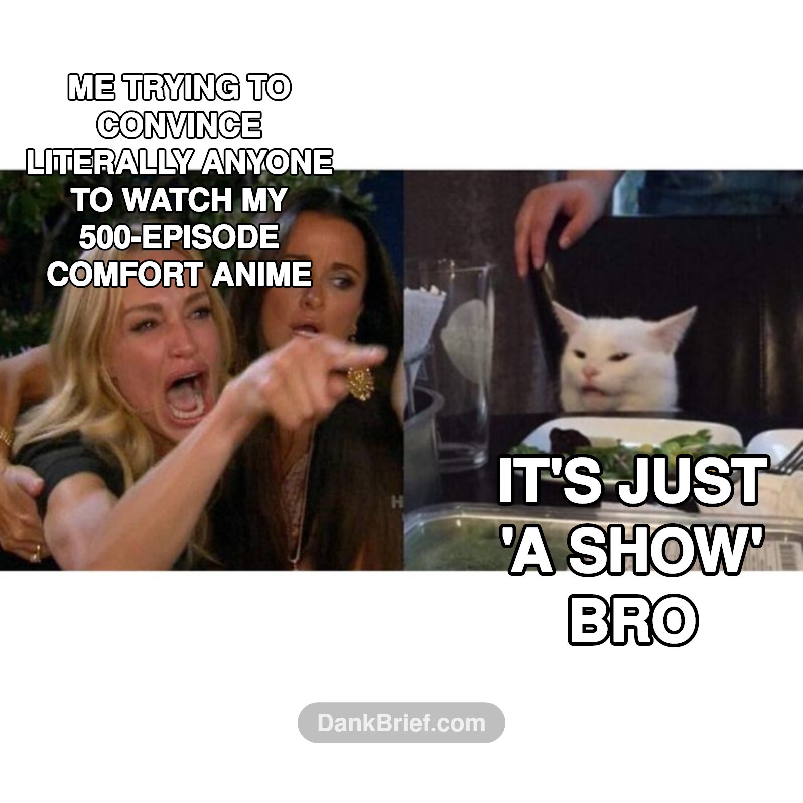 Real anime fan struggles
