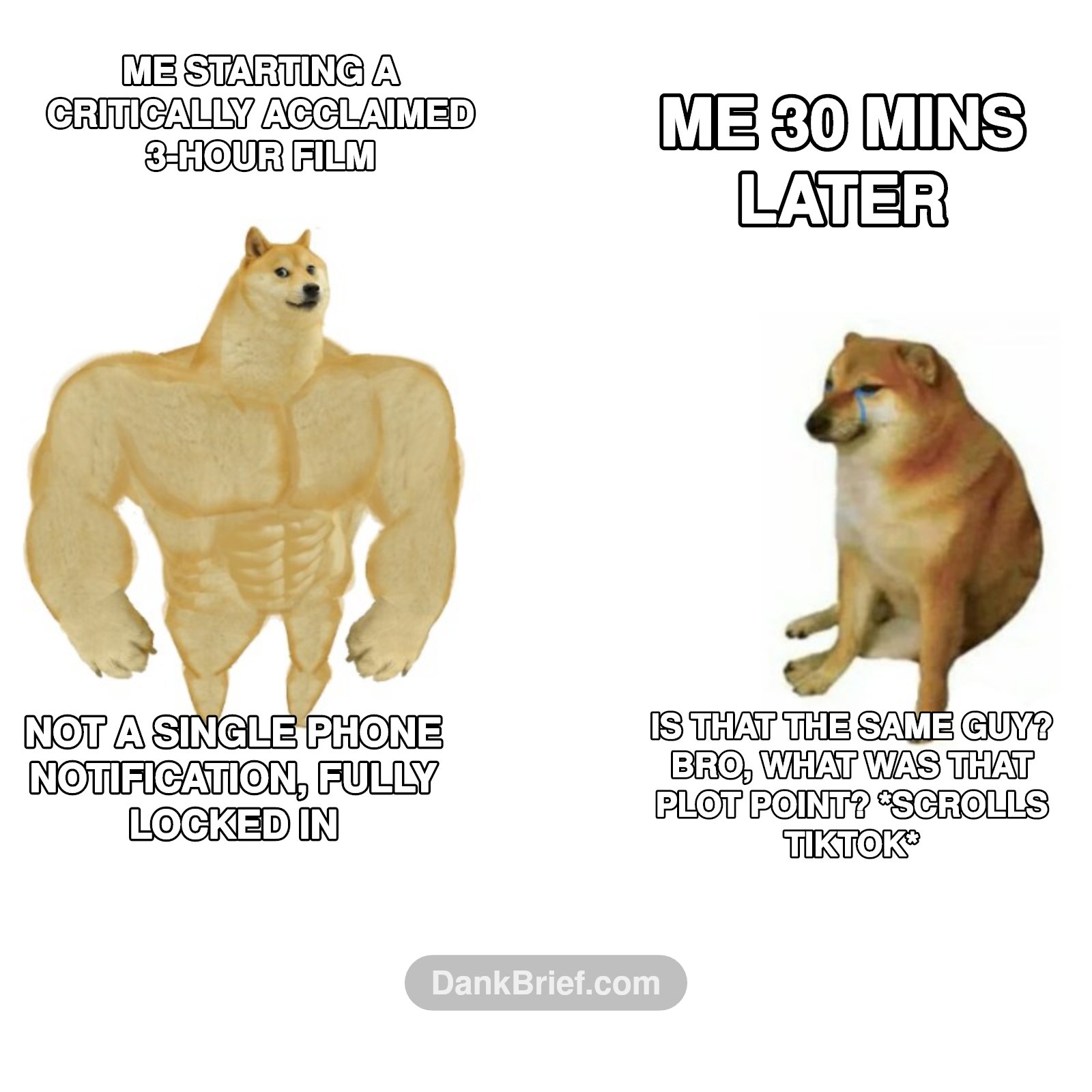 The two sides of movie night bro