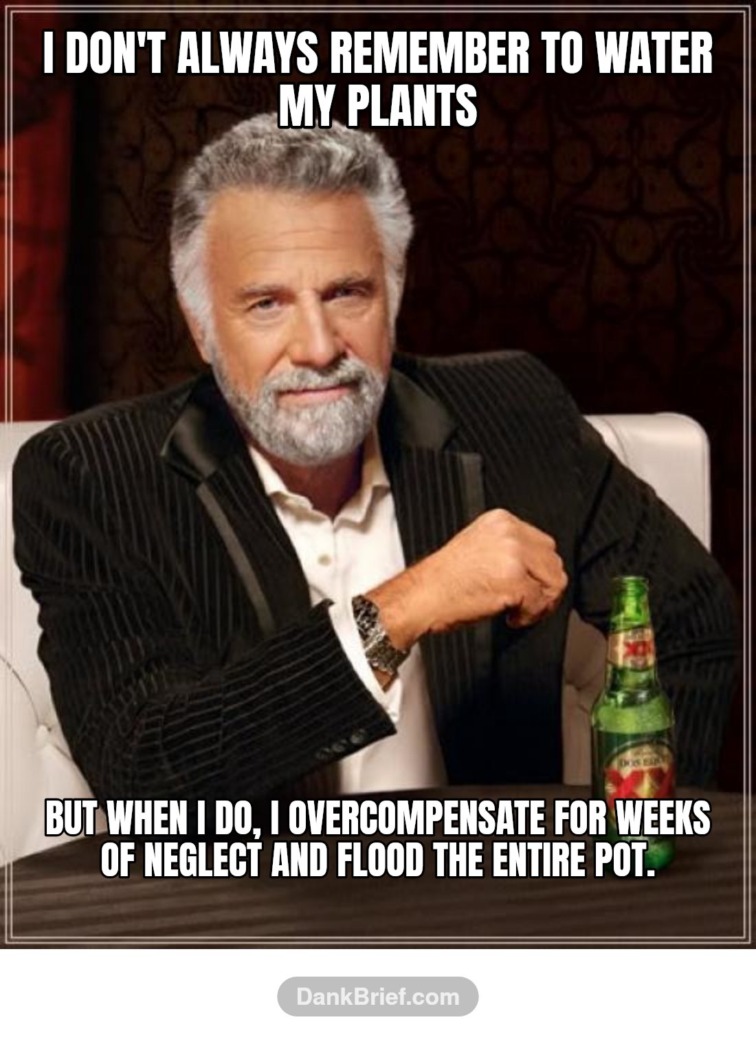 I don't always remember to water my plants / but when I do, I overcompensate for weeks of neglect and flood the entire pot.