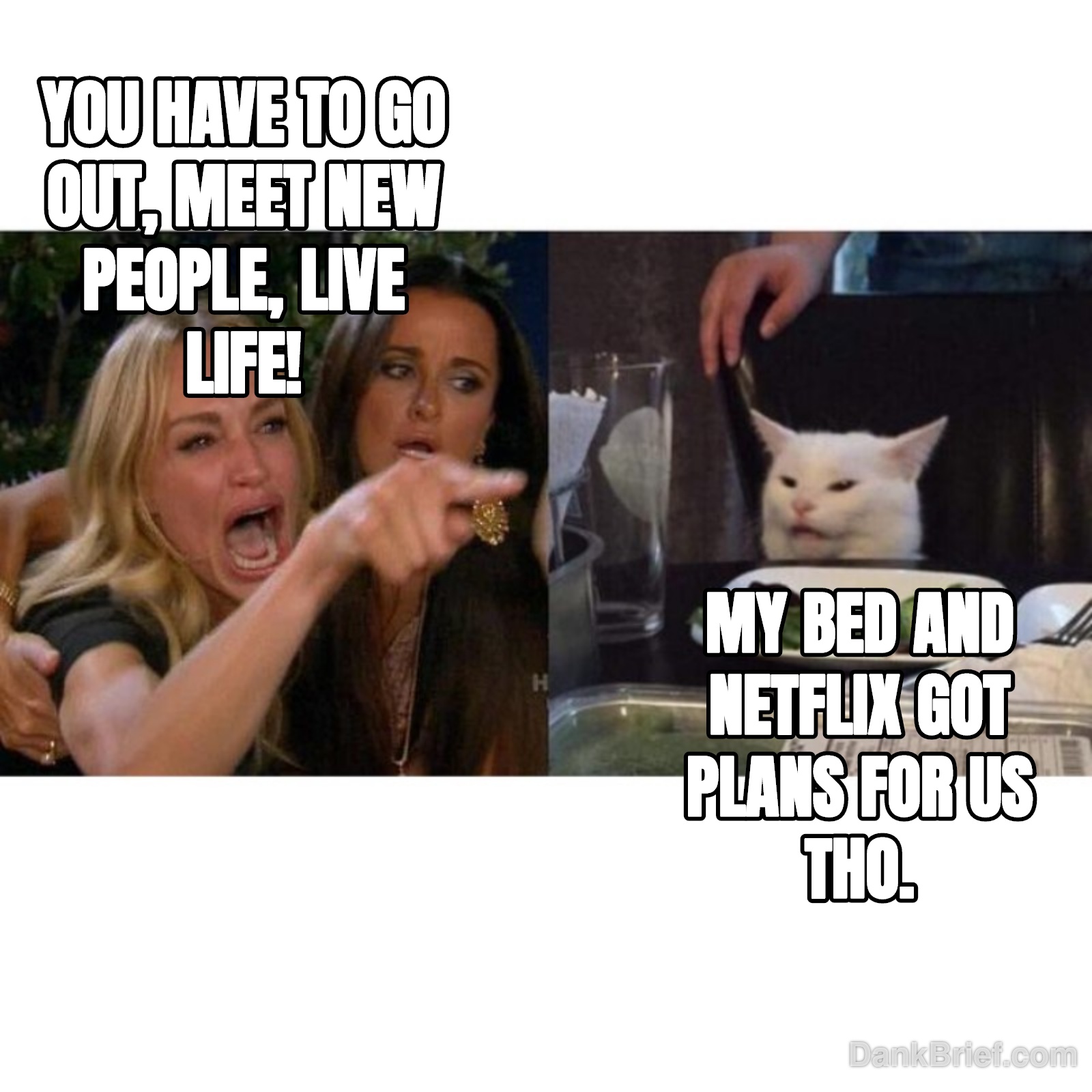 My brain every Friday night