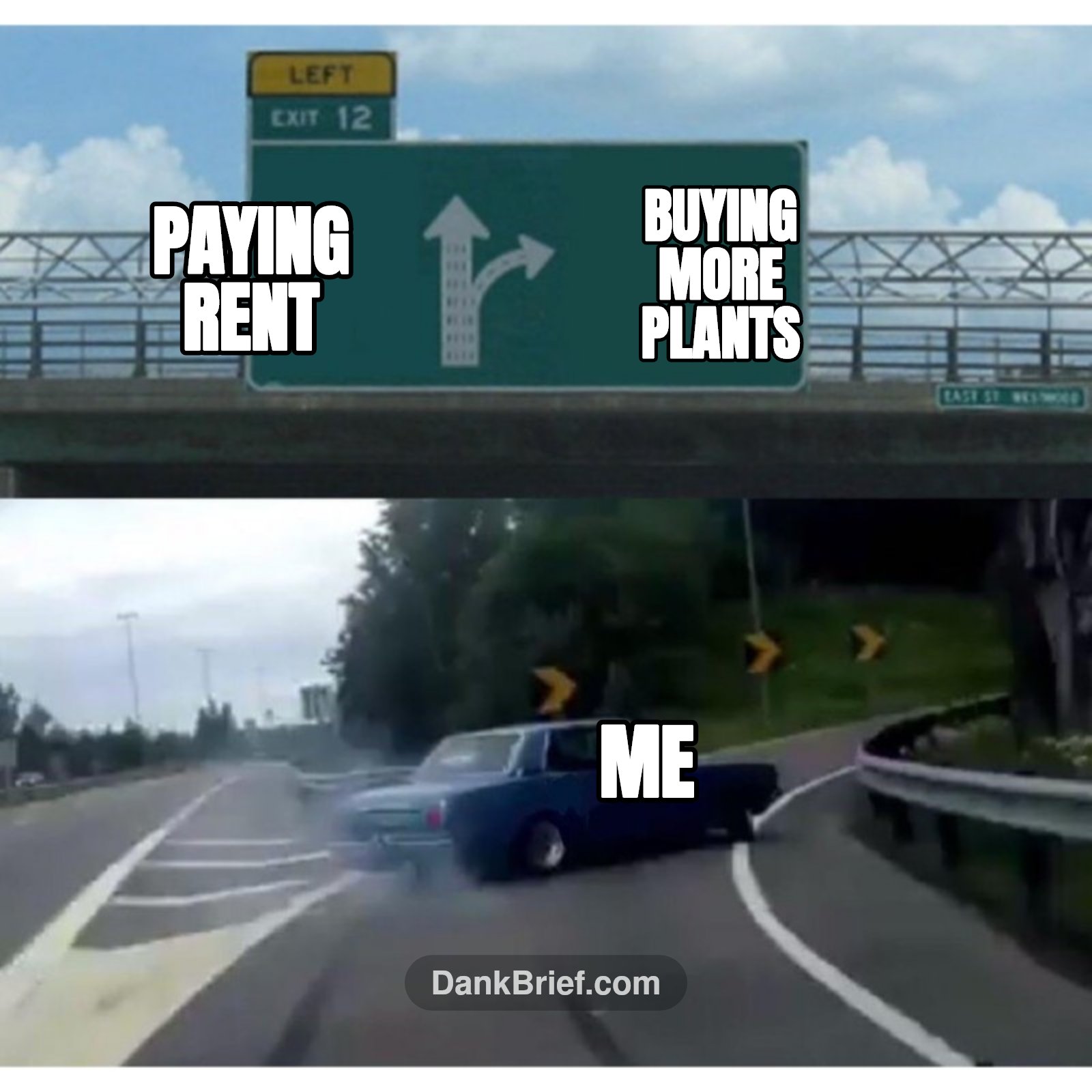 Me / Buying more plants / Paying rent