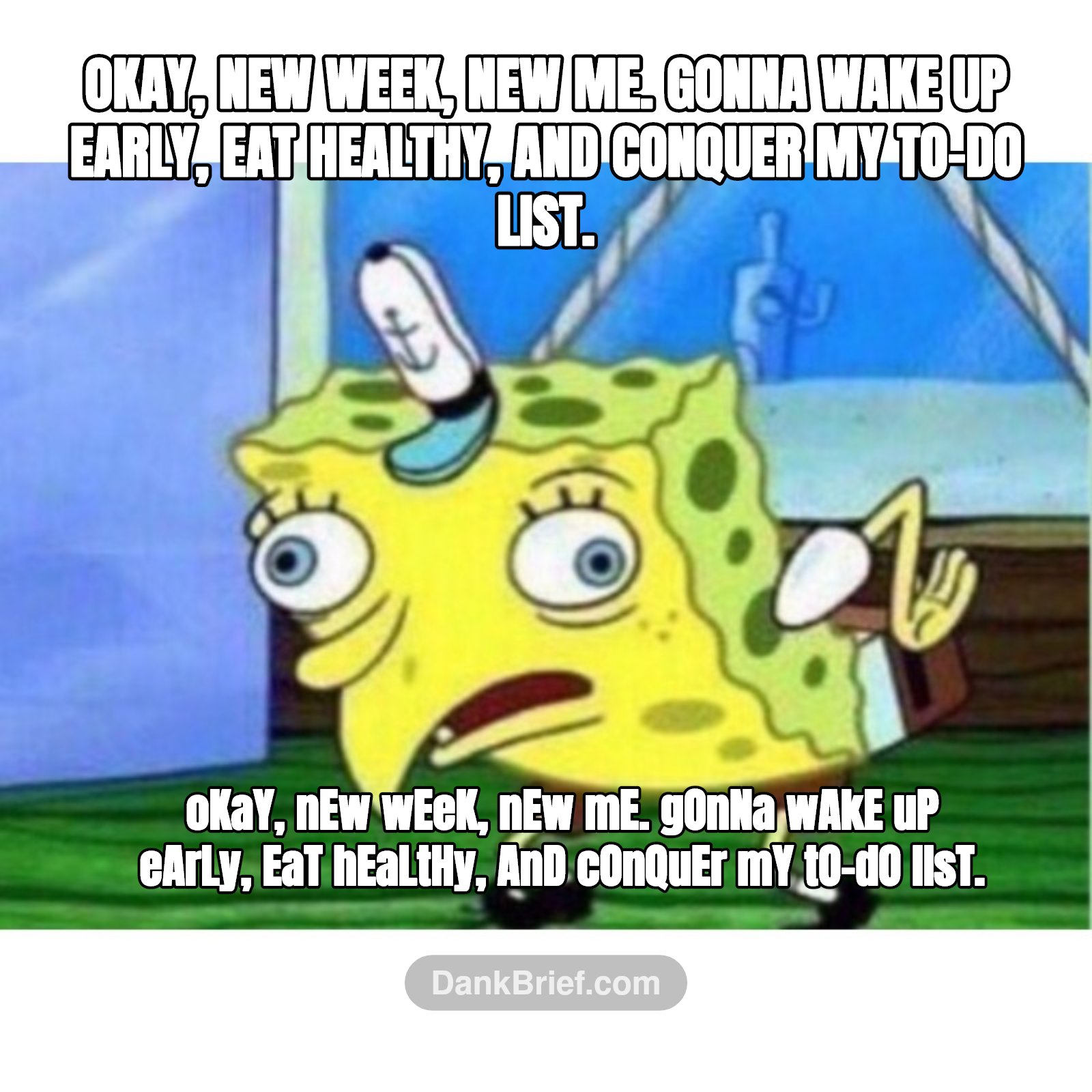 My brain every Sunday night