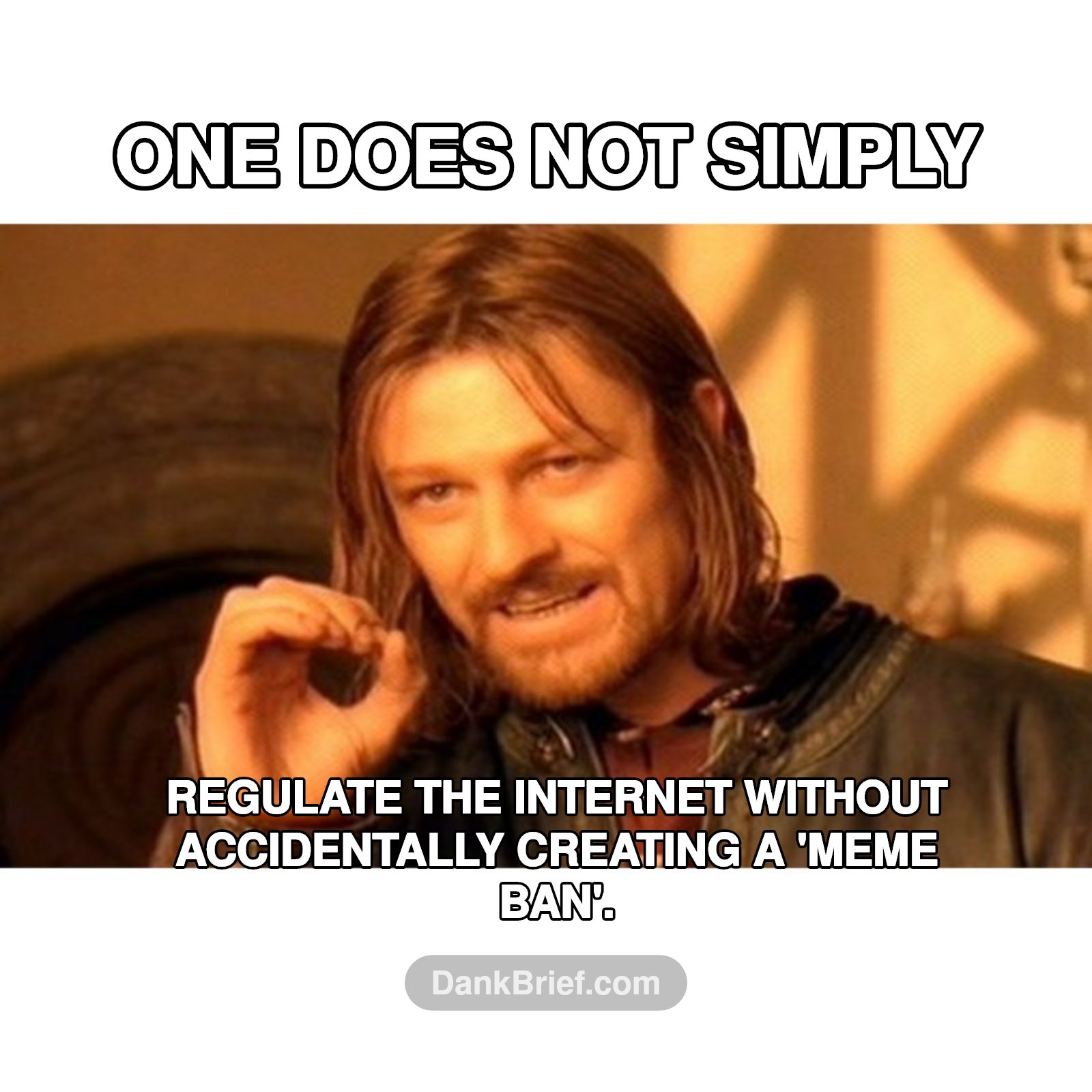The EU and the immortal meme ban saga, still relevant to my crippling internet addiction