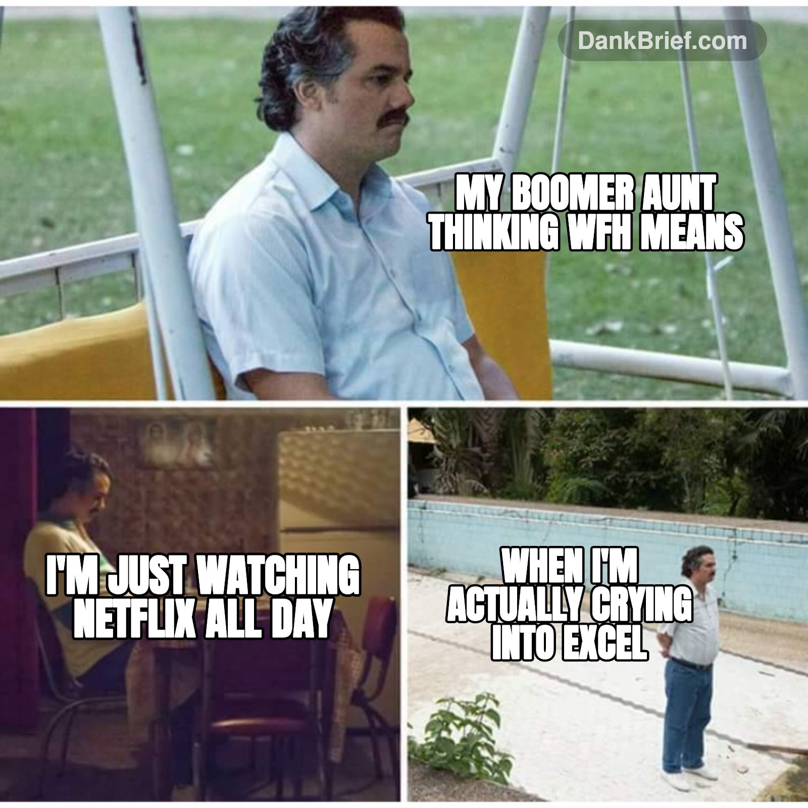 My boomer aunt thinking WFH means / I'm just watching Netflix all day / when I'm actually crying into Excel