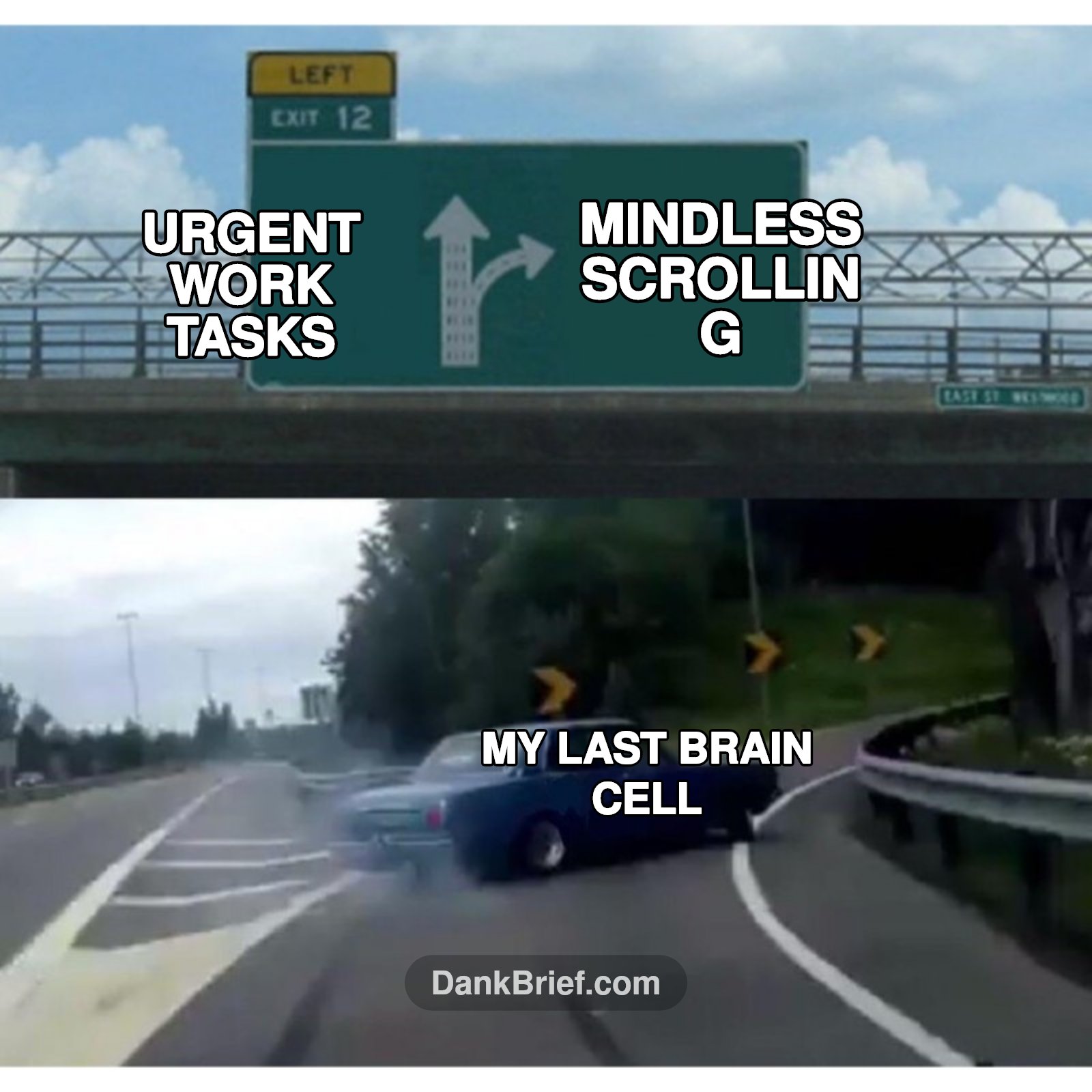POV: My last brain cell at work