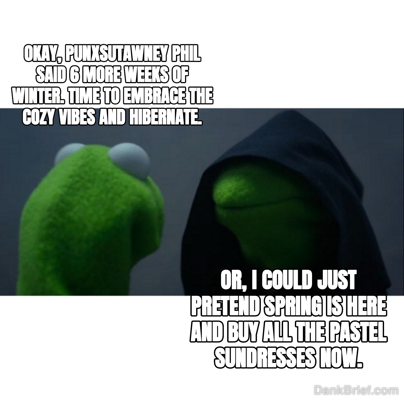 Me every Groundhog Day, delulu af