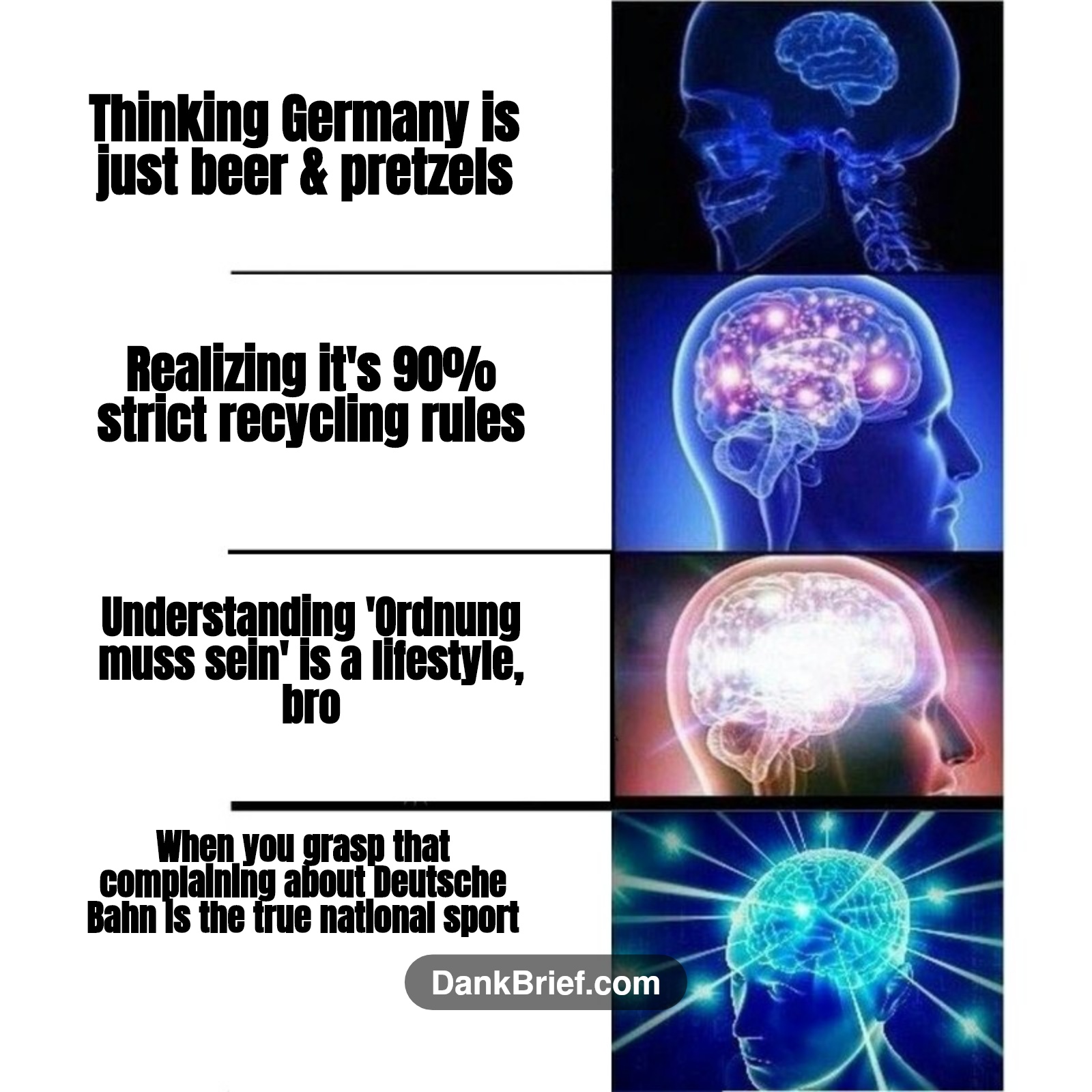 My brain cells trying to understand Germany