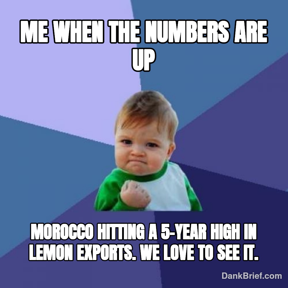 Morocco's Zesty Economic Boom