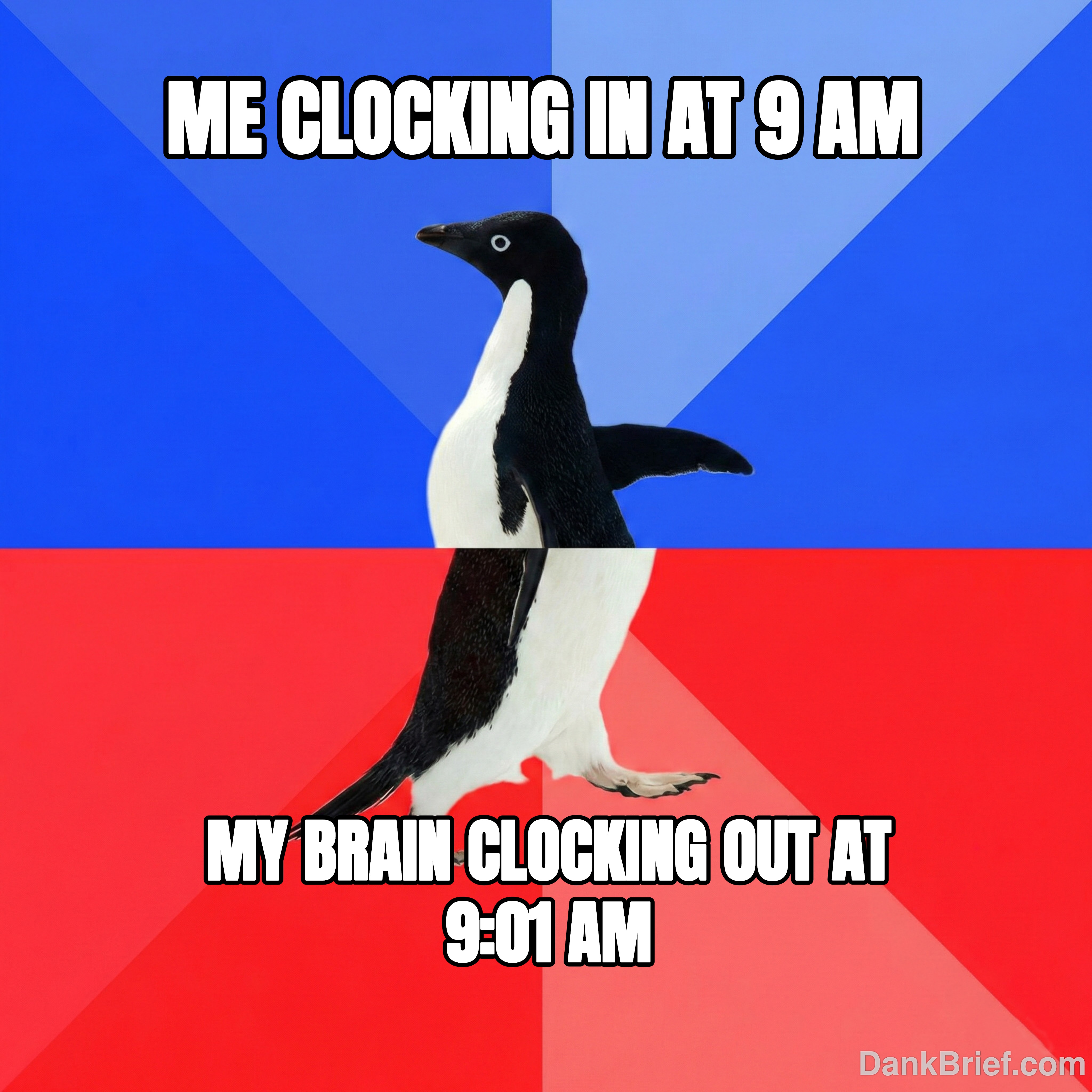 My brain has entered its cozy era