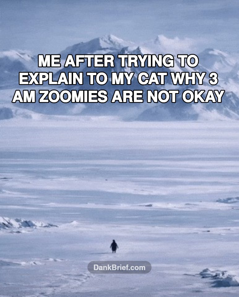 Pet parent life is a unique hell