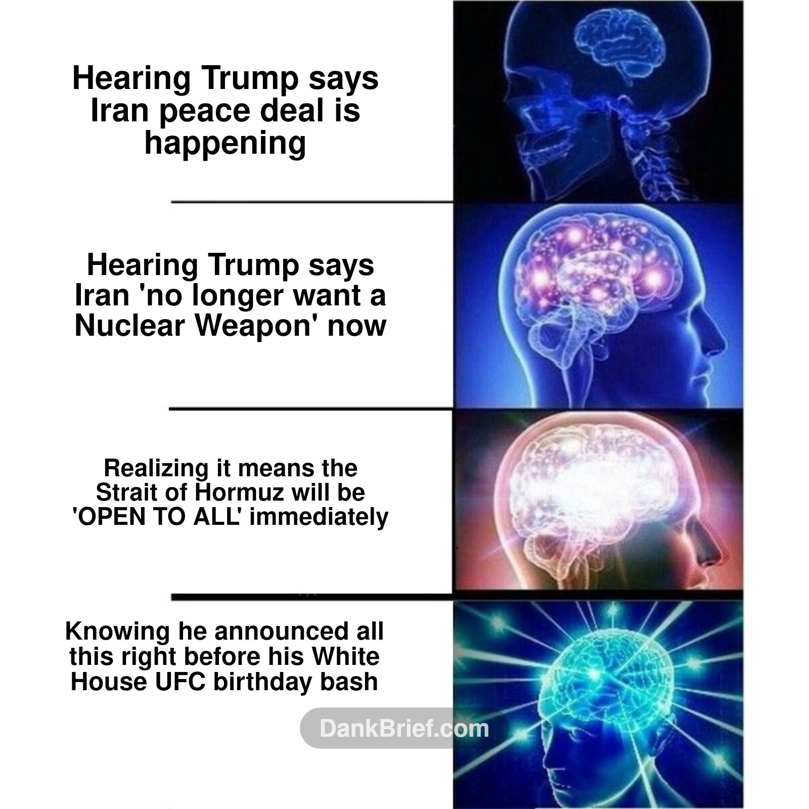 My brain trying to understand world peace in 2026