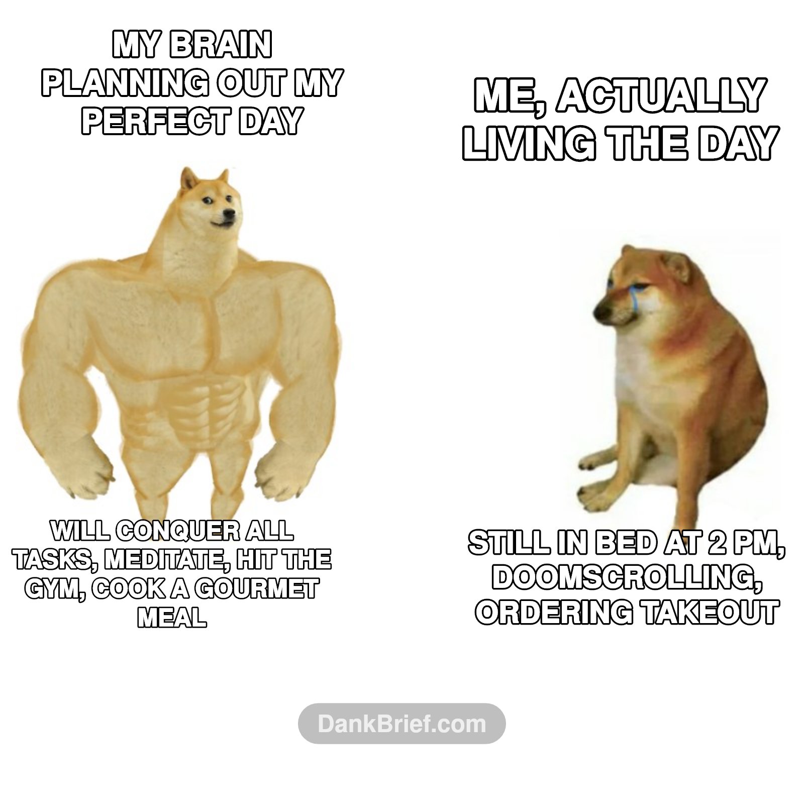 My brain vs. reality everyday, bro