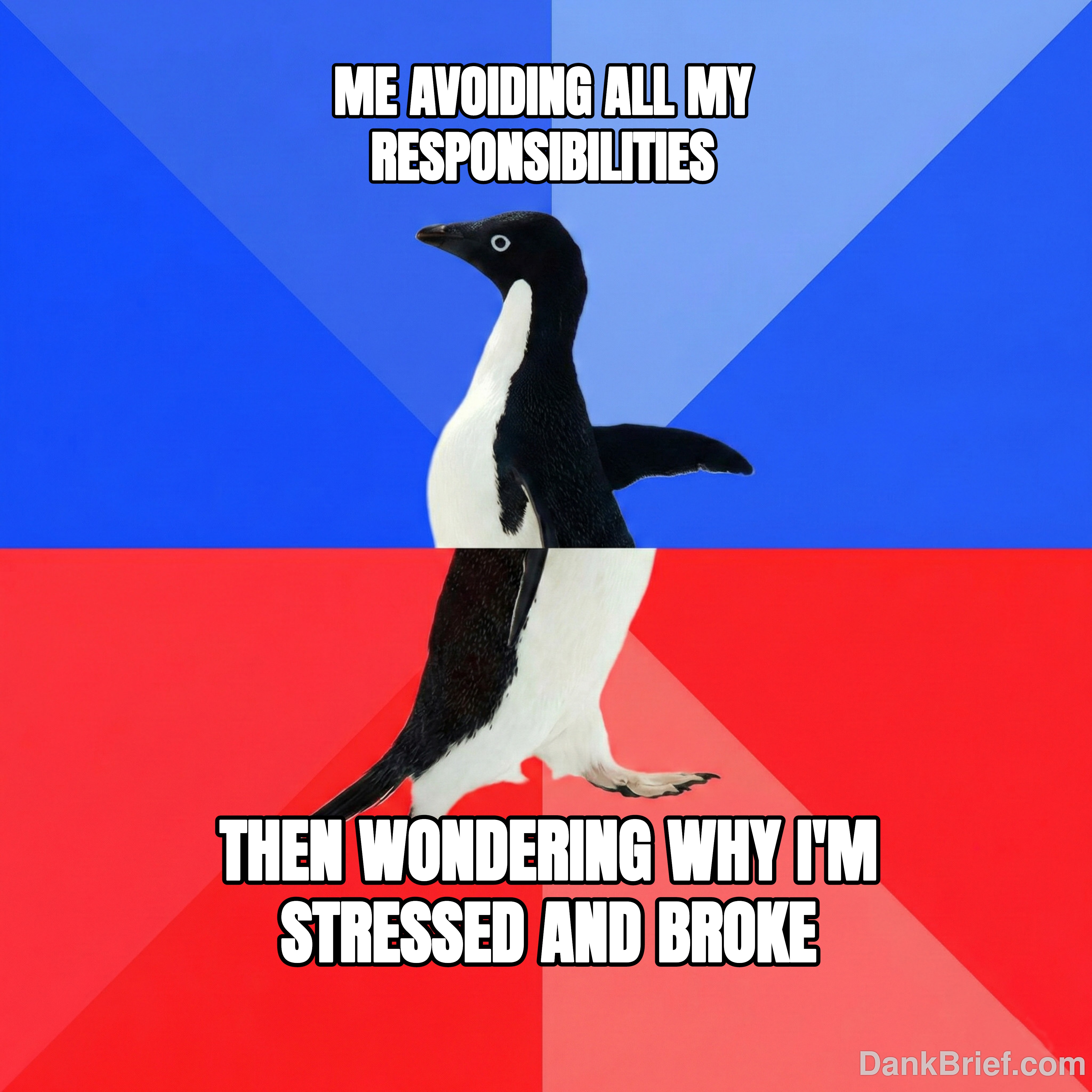 It's a lifestyle, bro