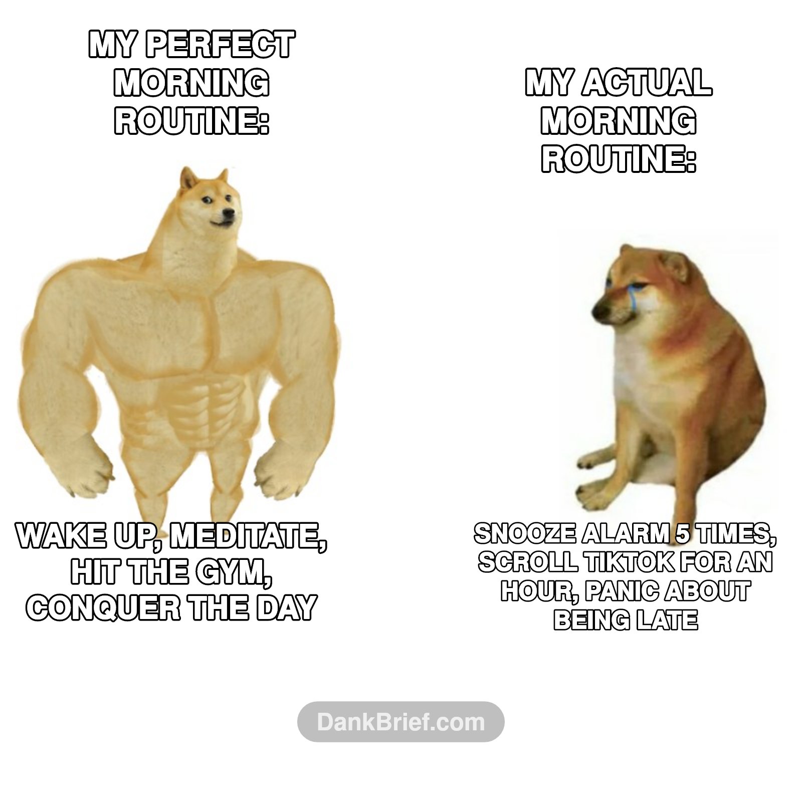 Morning Routine Expectations vs Reality