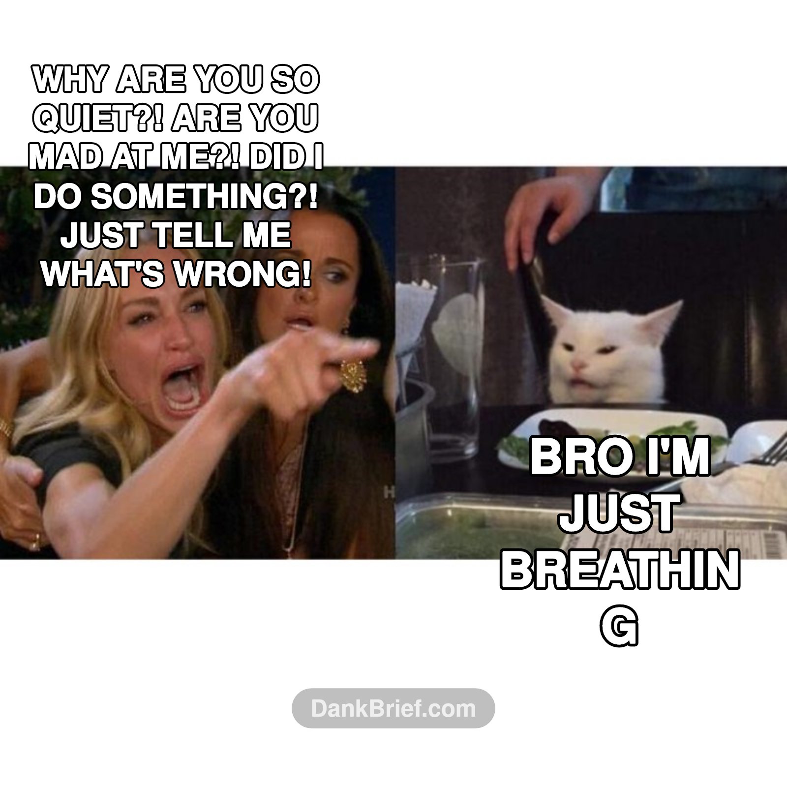 Me trying to decipher their silence vs. them just existing