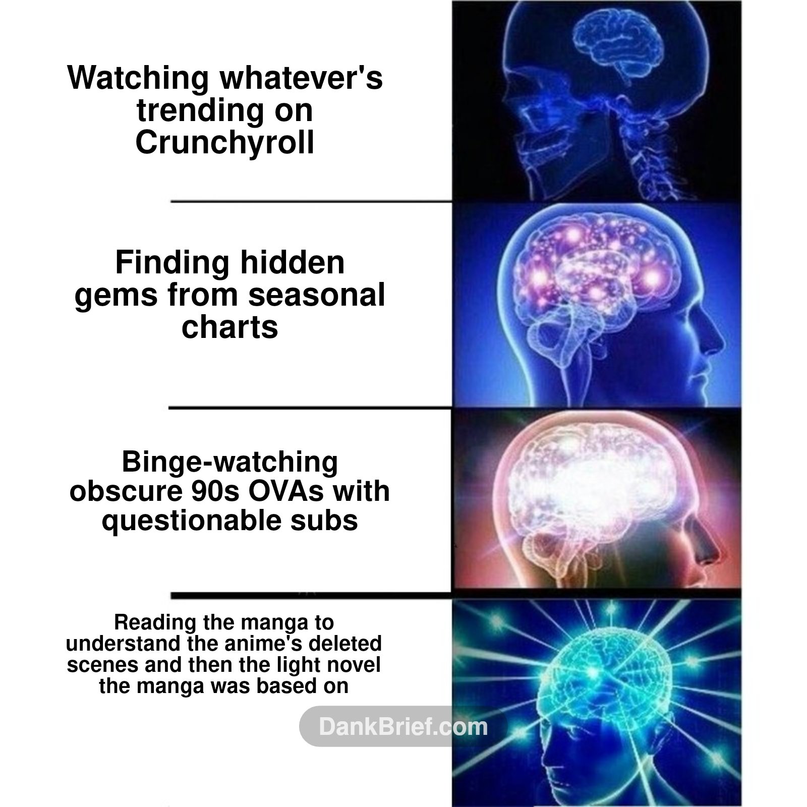 My brain expanding with every new anime rabbit hole I fall into