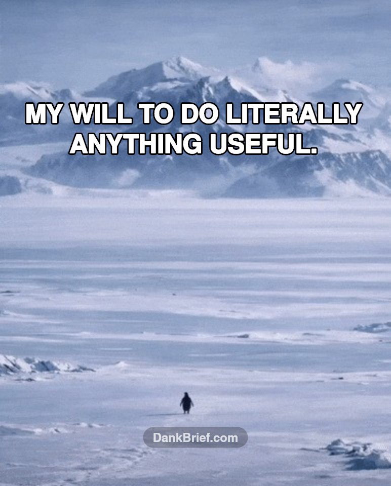 It's a lifestyle, bro.