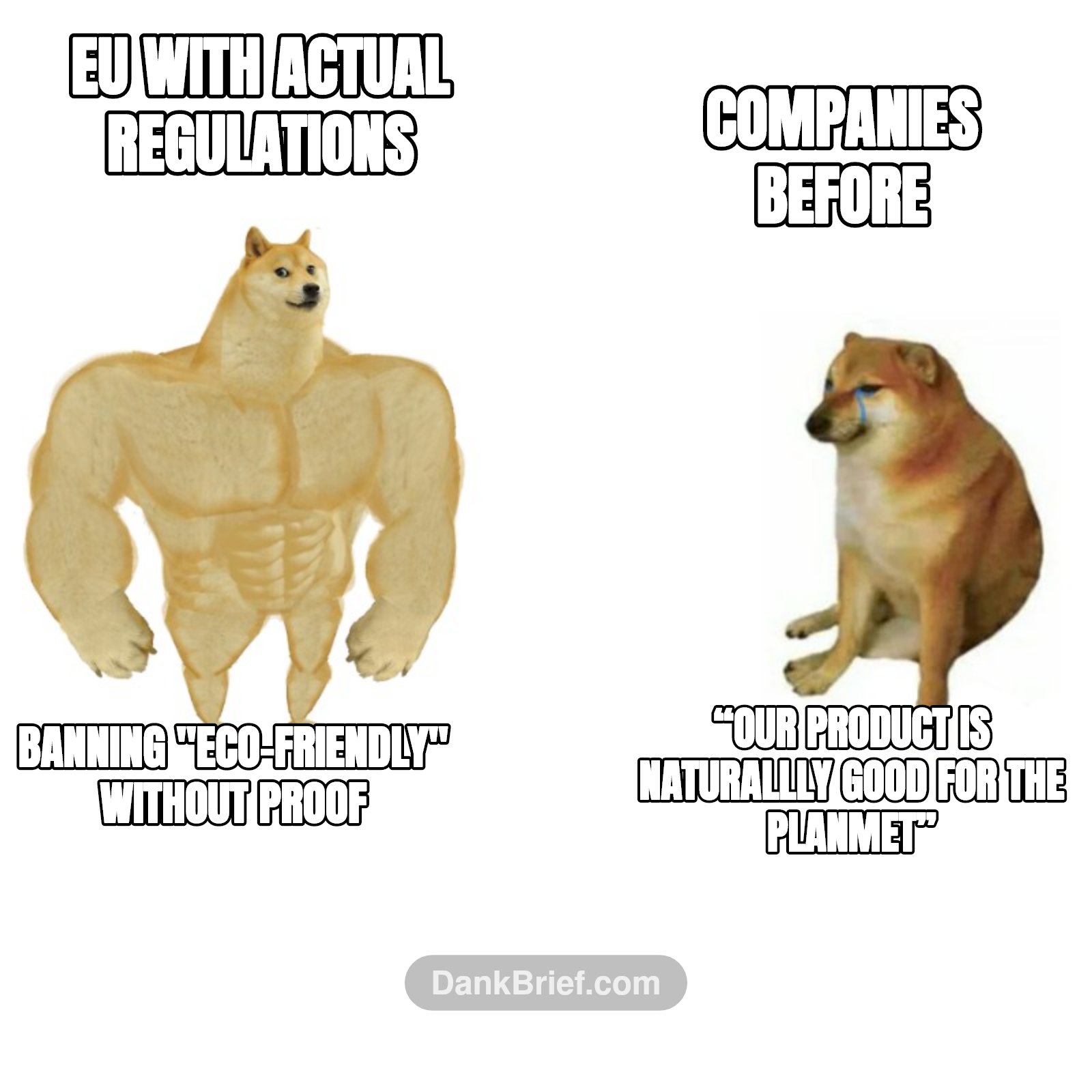 EU with actual regulations / Banning "eco-friendly" without proof / Companies before / “Our product is naturallly good for the planmet”