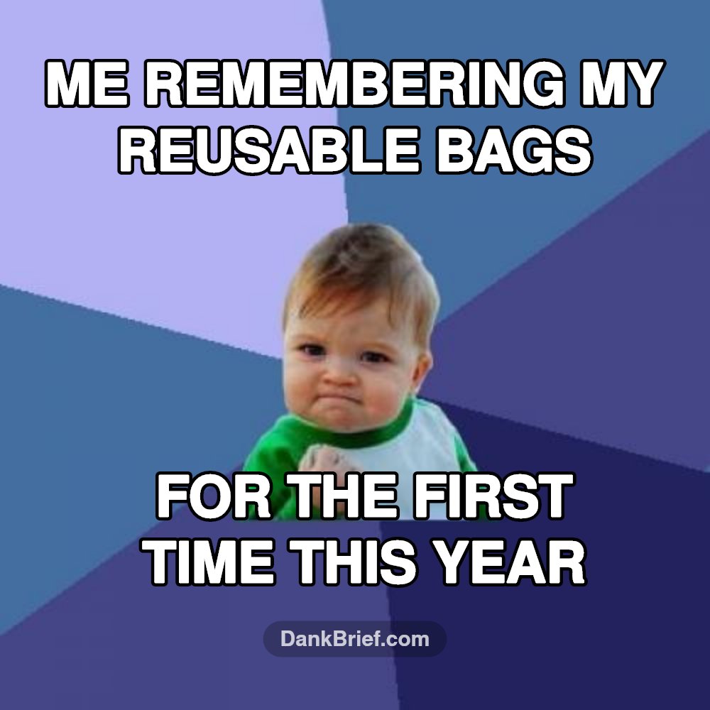 Adulting Level: Achieved (briefly)