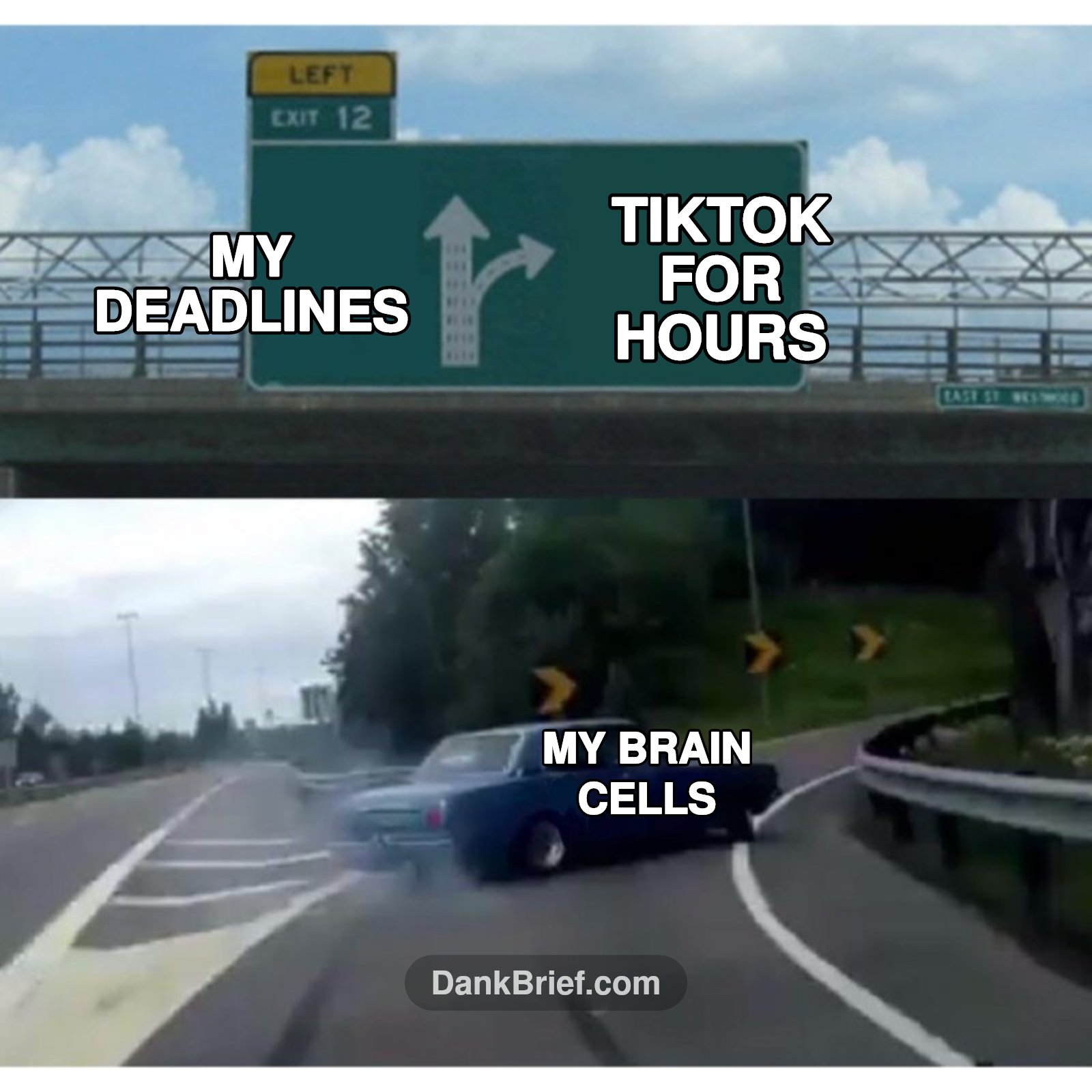POV: My brain choosing productivity