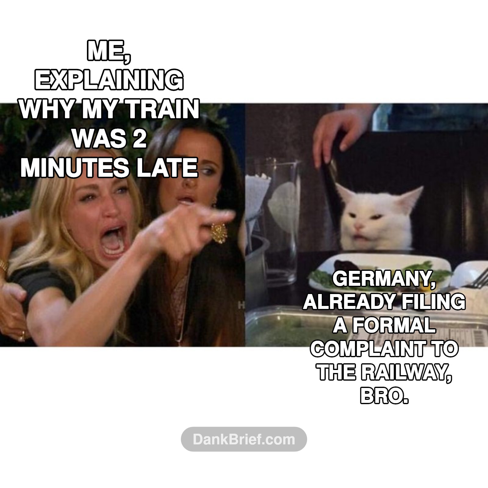 POV: You're trying to explain why your train was *only* 2 mins late in Germany