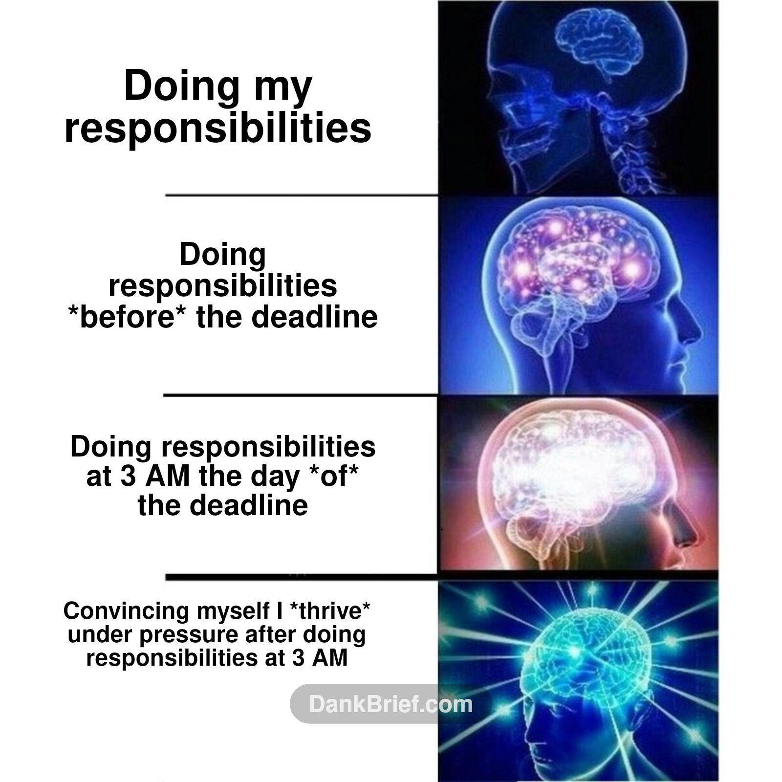 My brain trying to cope with adulthood