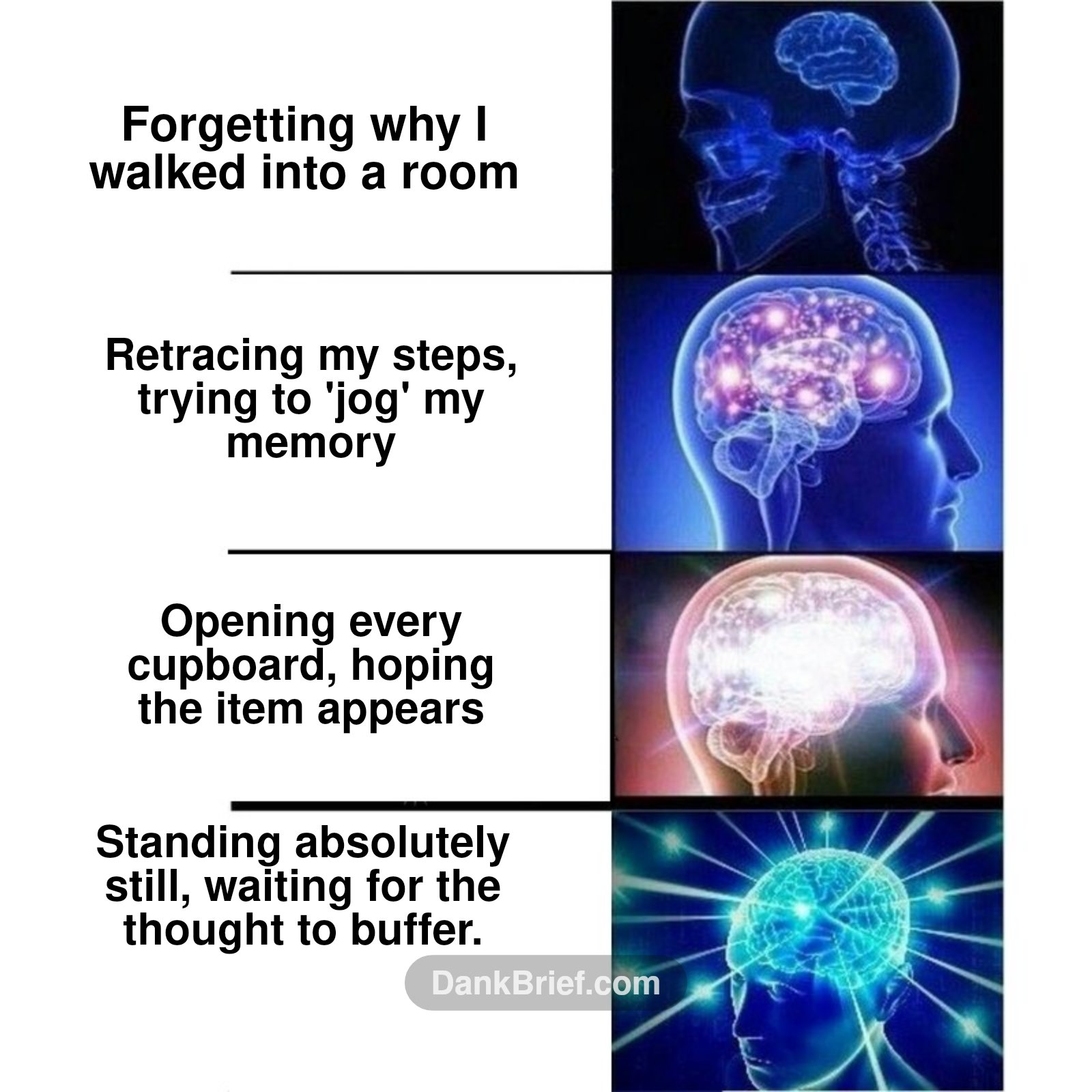 My brain trying to remember simple stuff