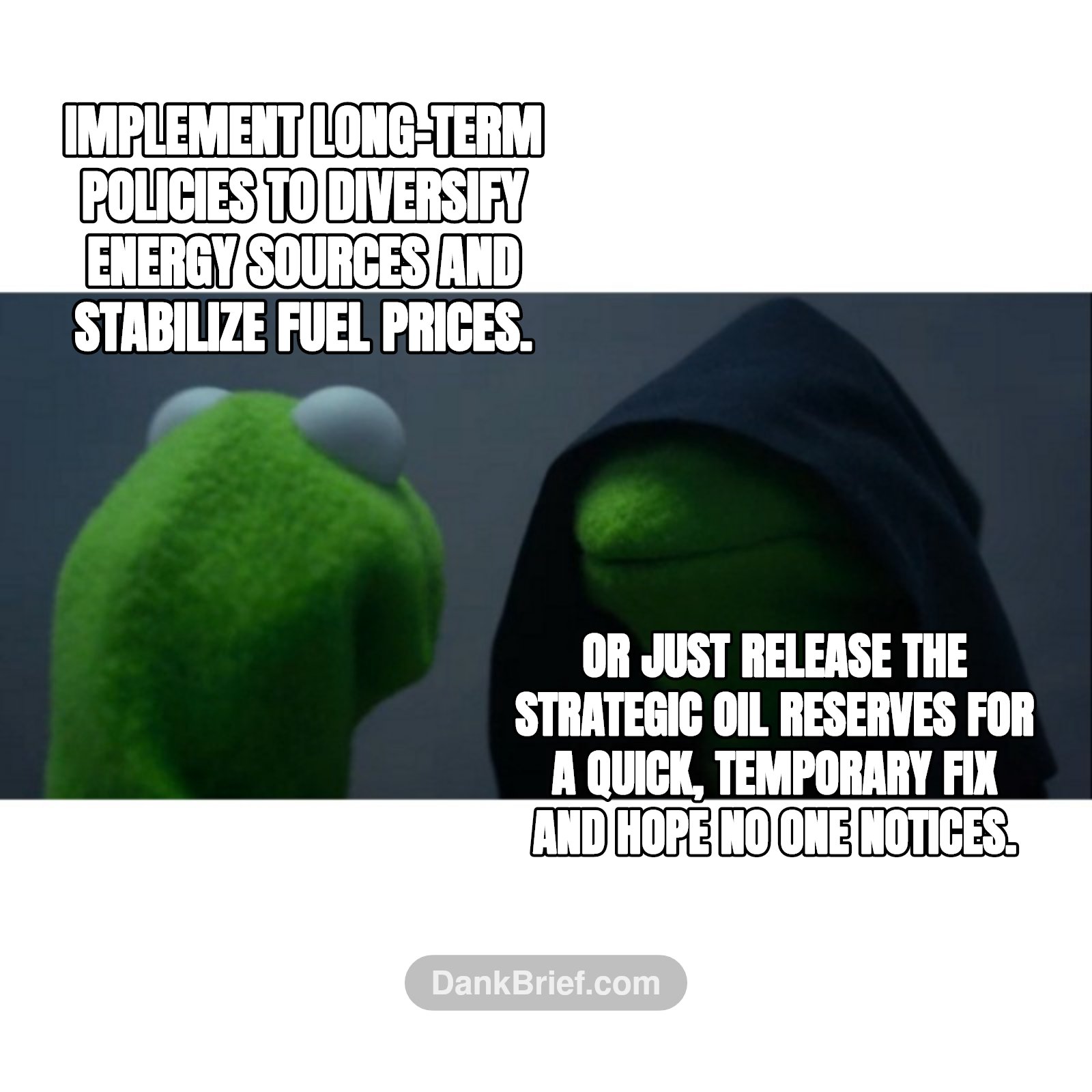 Implement long-term policies to diversify energy sources and stabilize fuel prices. / Or just release the strategic oil reserves for a quick, temporary fix and hope no one notices.